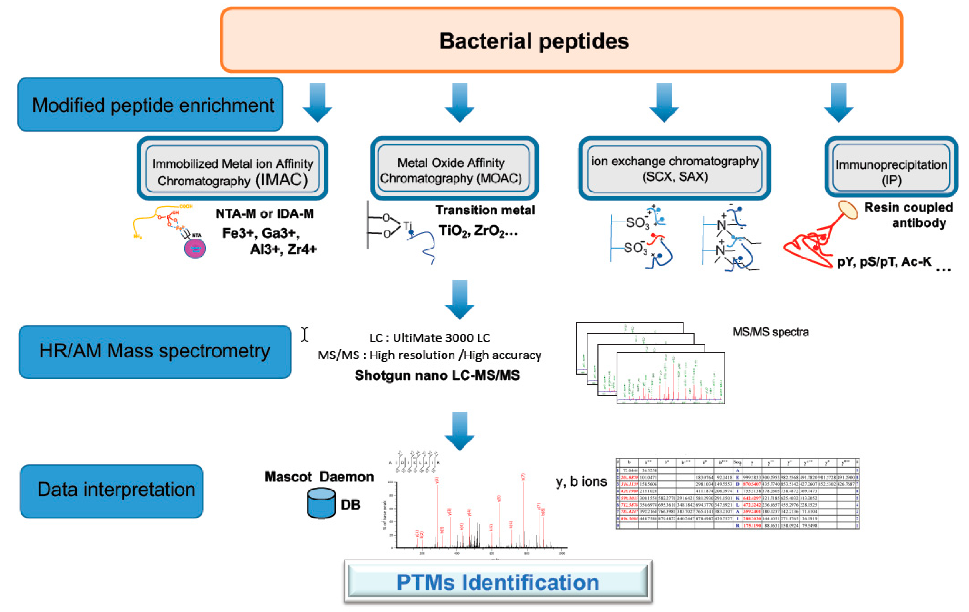 Toxins 11 00576 g004