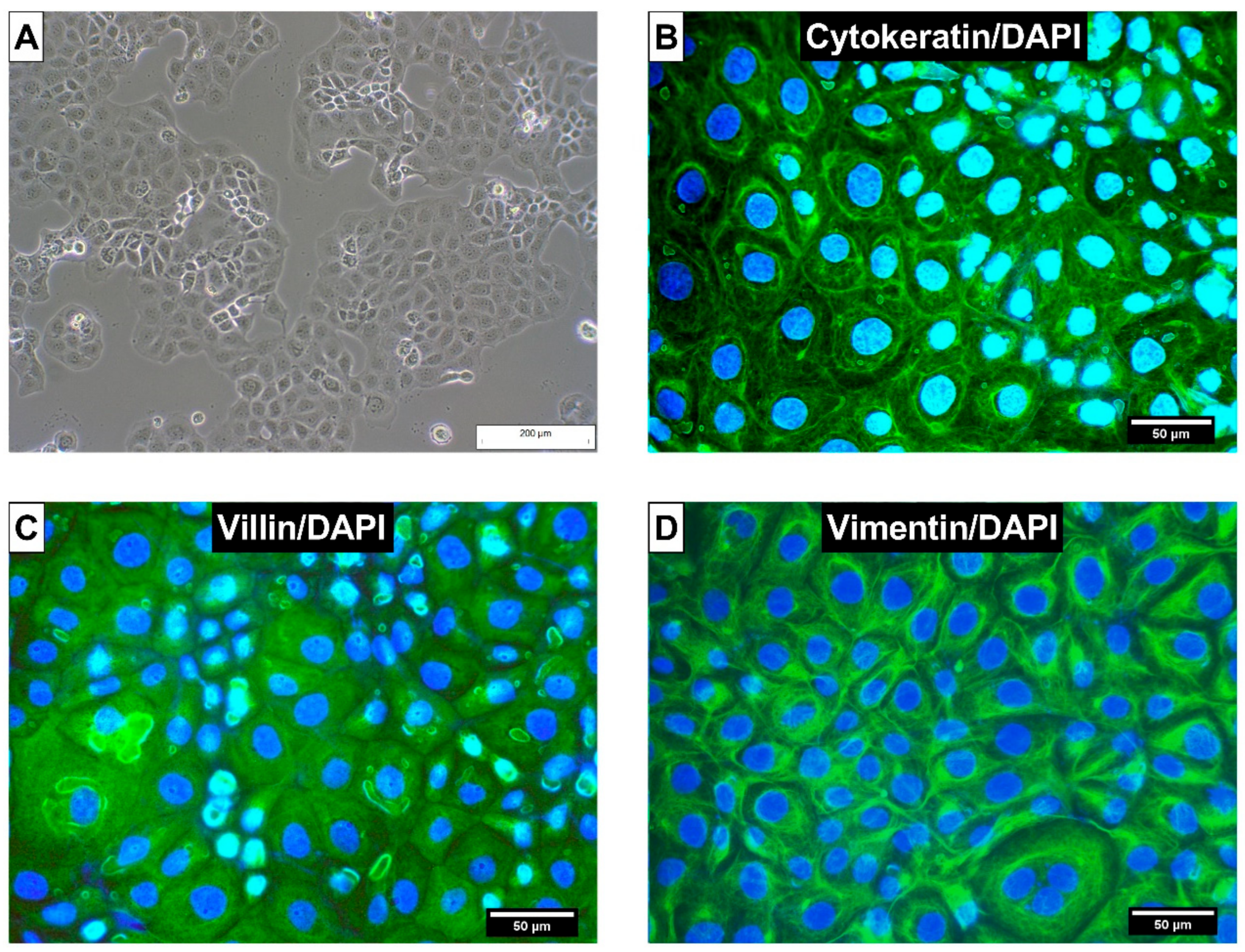 Toxins 11 00577 g002 Toxins 11 00577 g002