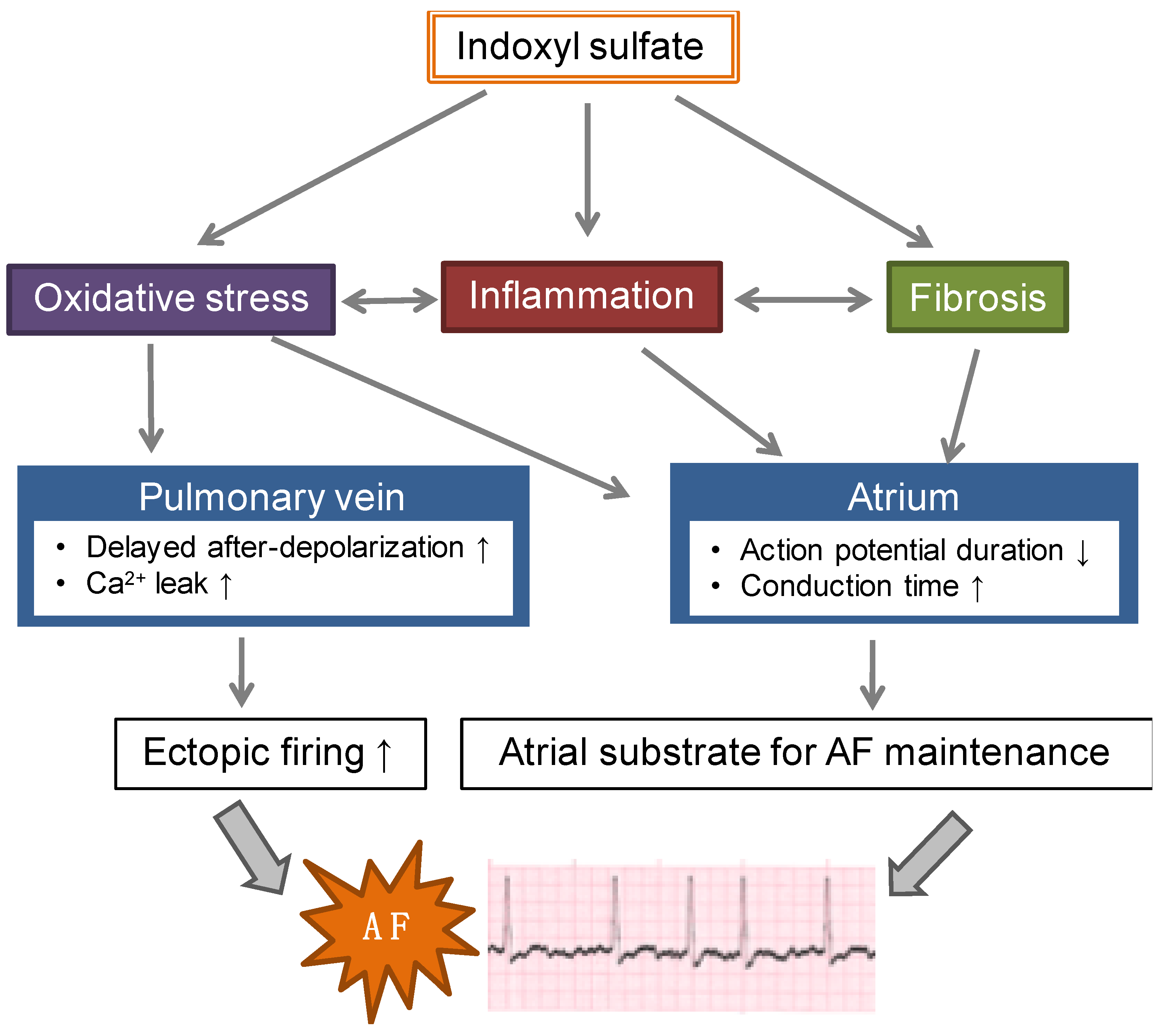 Toxins 11 00597 g001