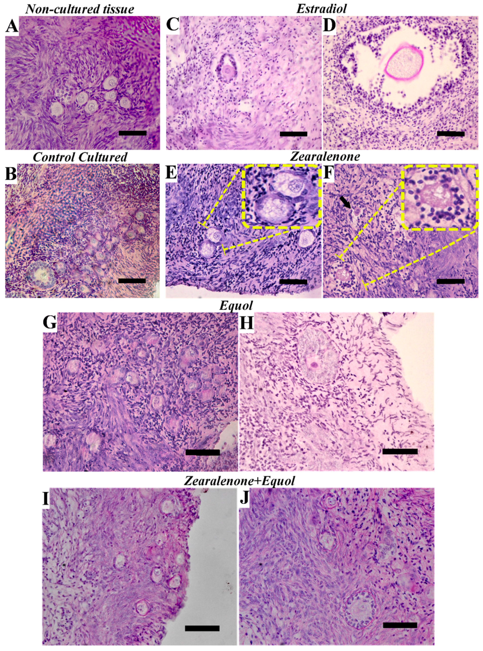 Toxins 11 00652 g001 Toxins 11 00652 g001