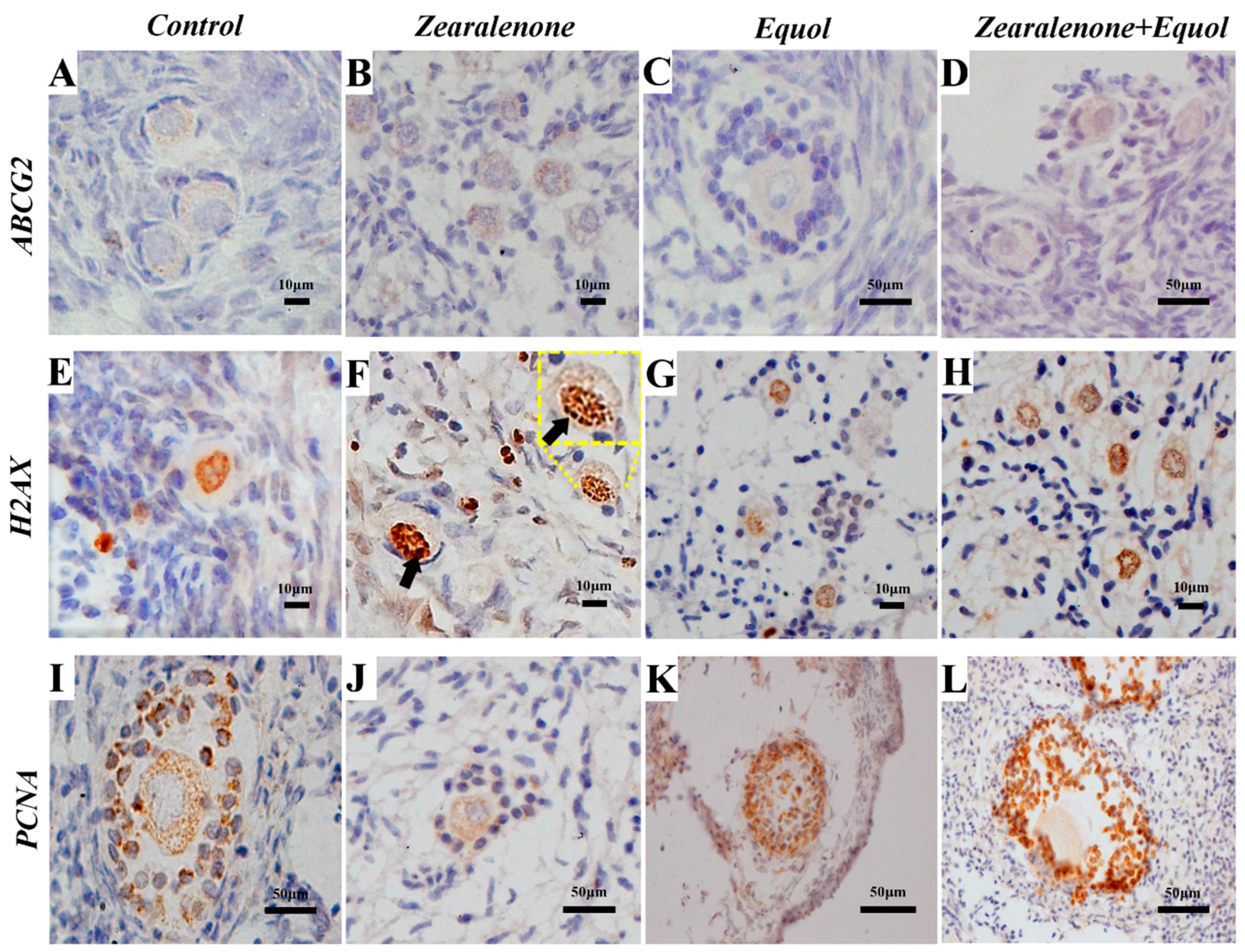 Toxins 11 00652 g003 Toxins 11 00652 g003