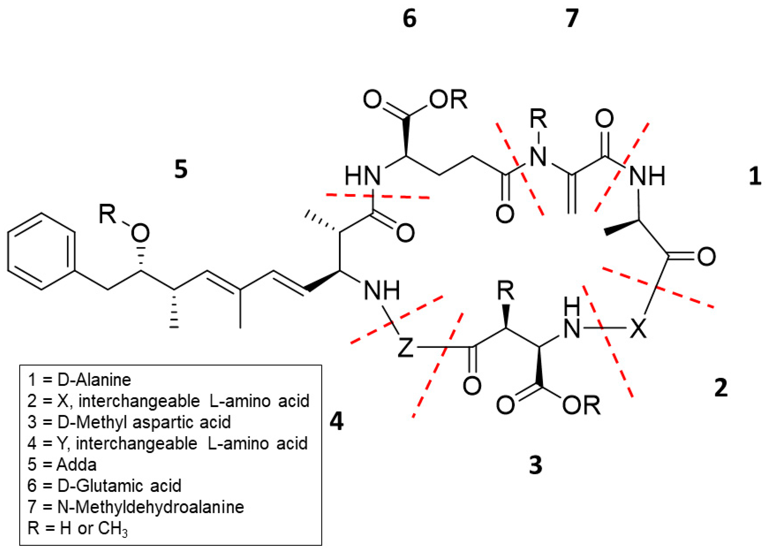 Toxins 11 00653 g001