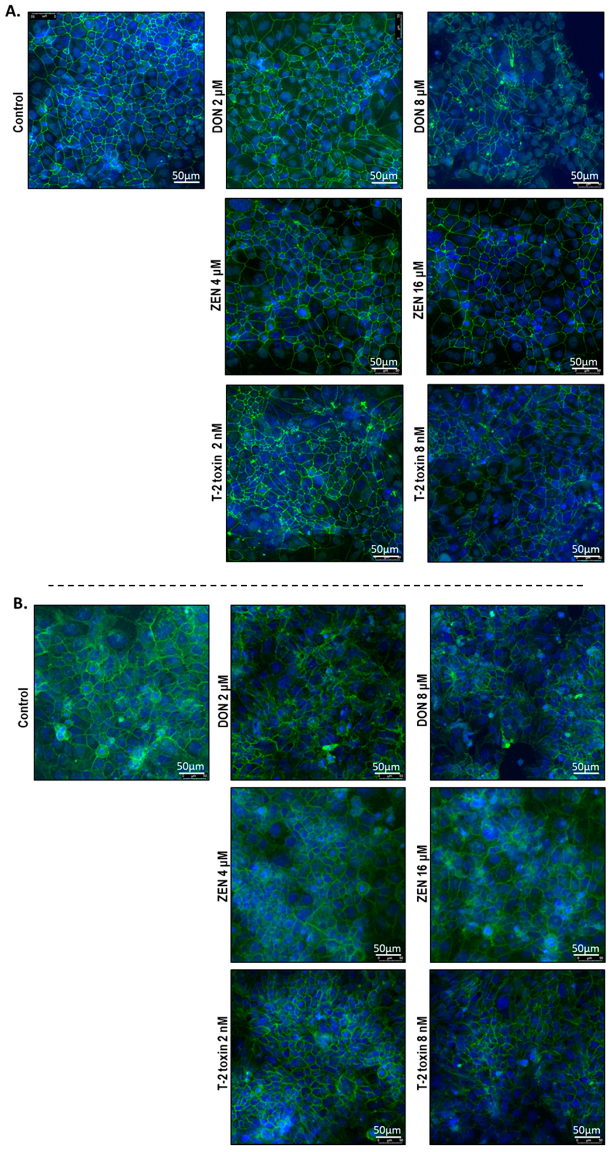 Toxins 11 00665 g010