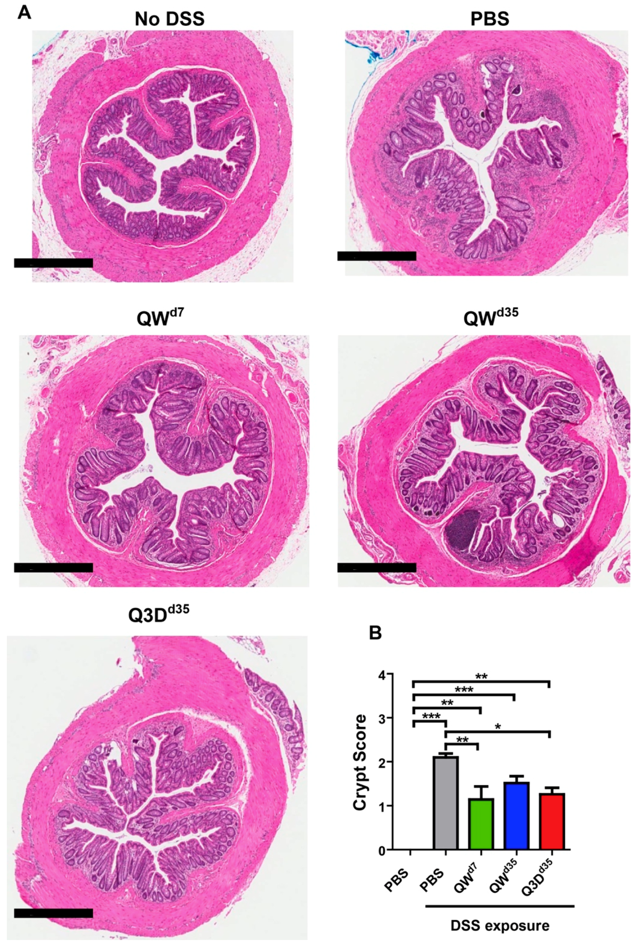 Toxins 11 00678 g003