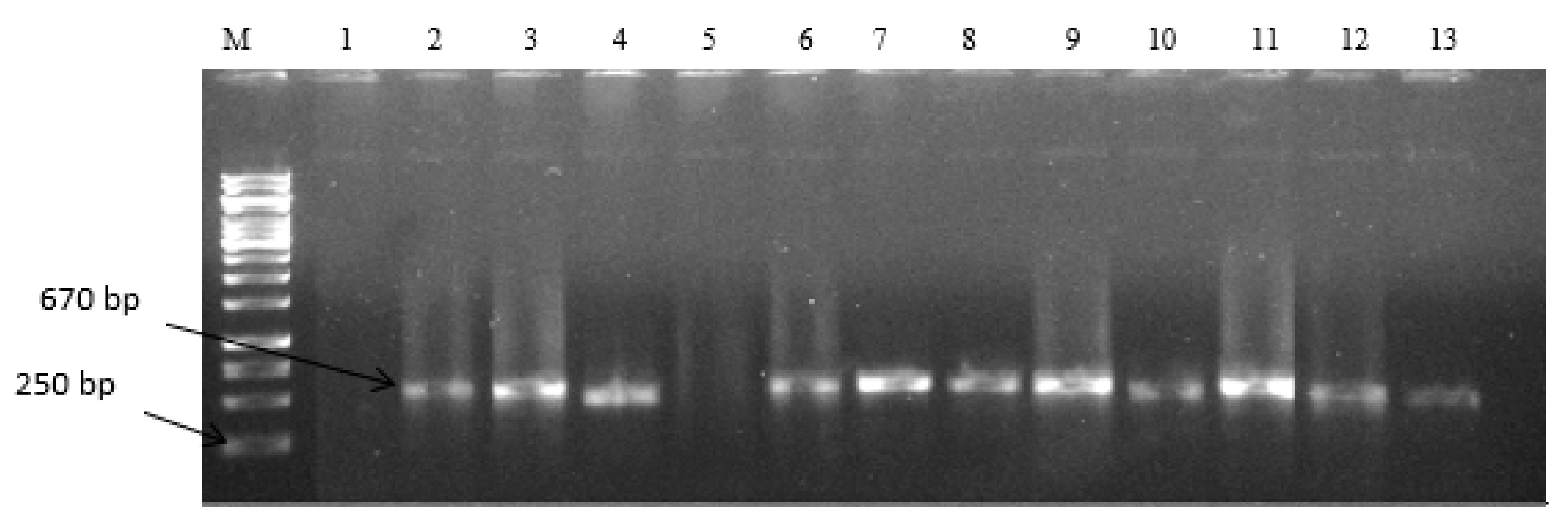 Toxins 11 00692 g001