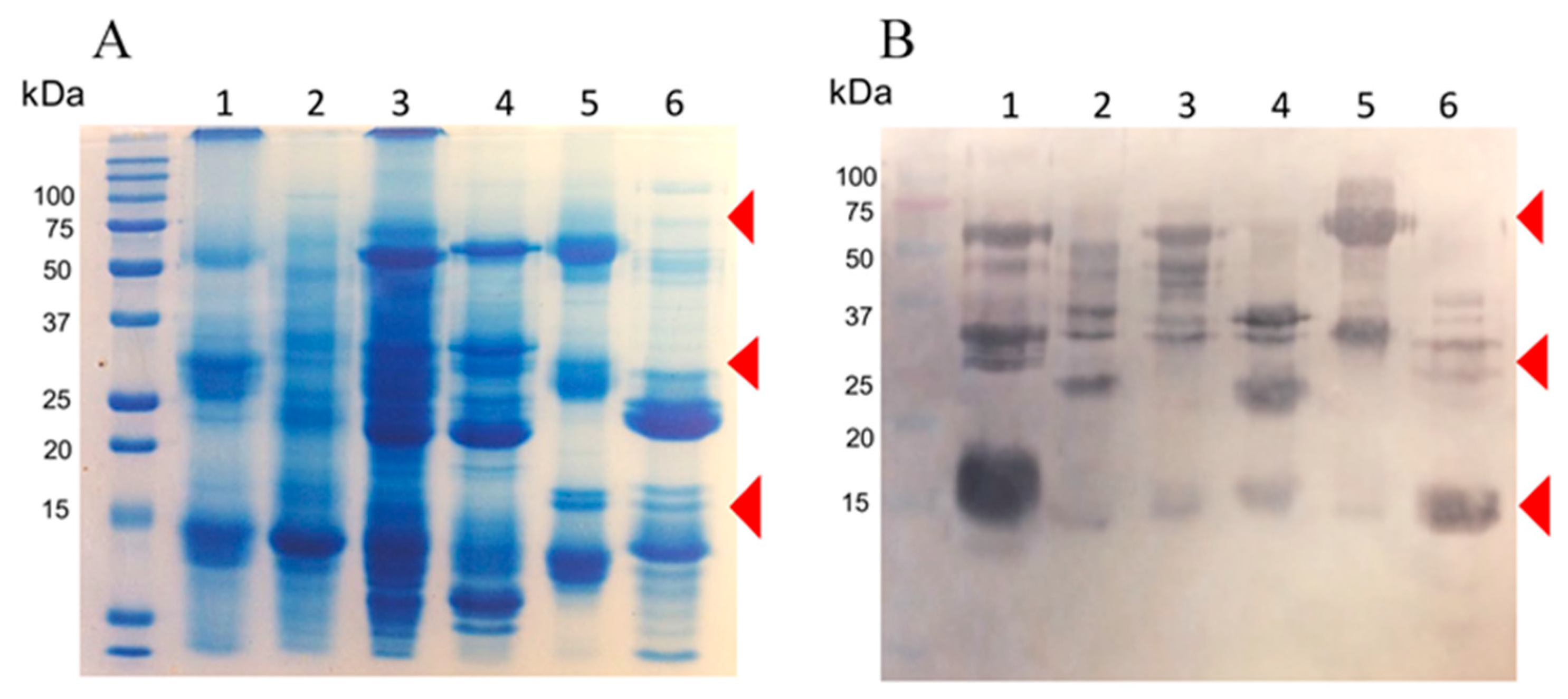 Toxins 11 00702 g003