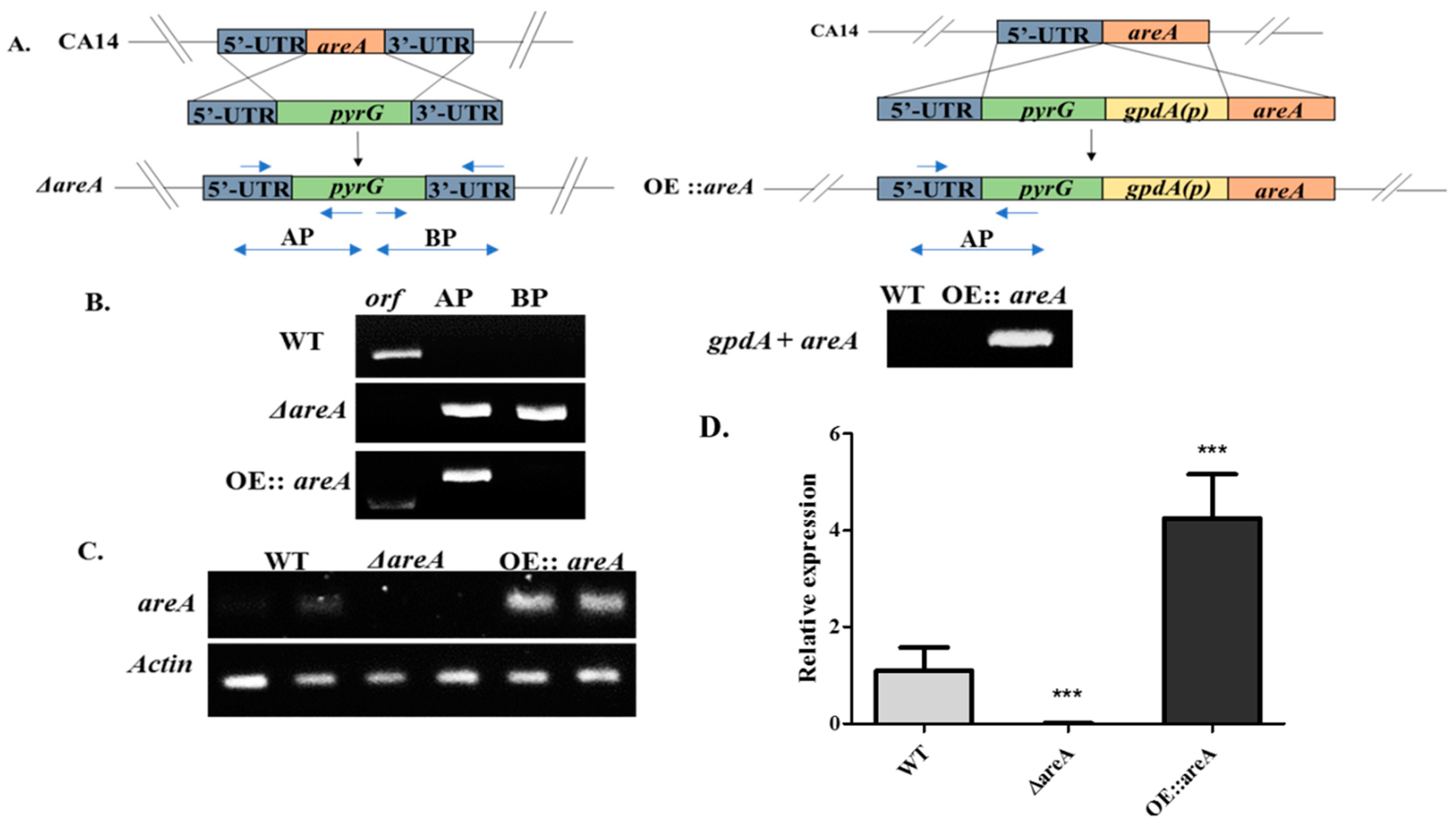 Toxins 11 00718 g002 Toxins 11 00718 g002
