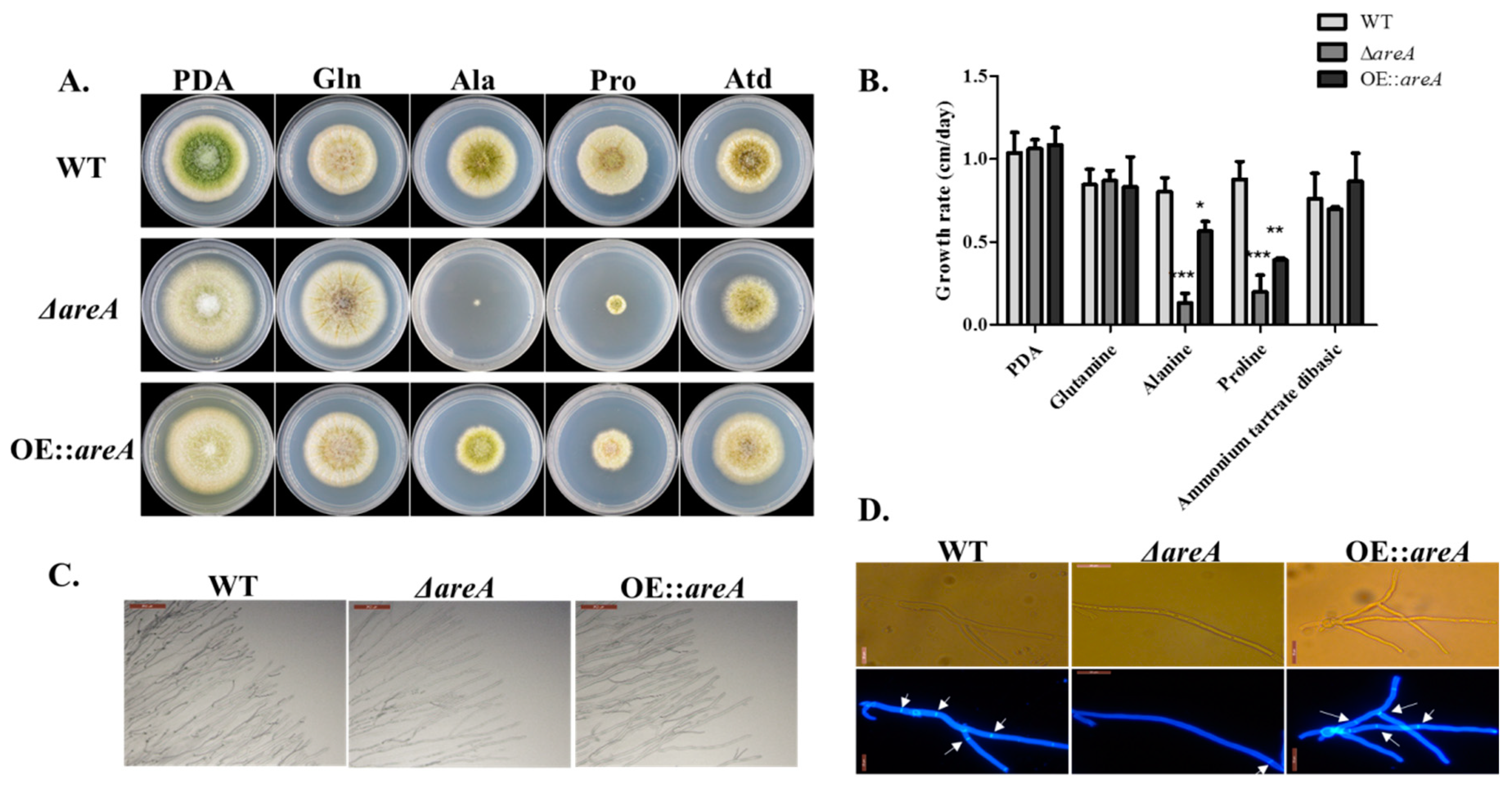 Toxins 11 00718 g003 Toxins 11 00718 g003