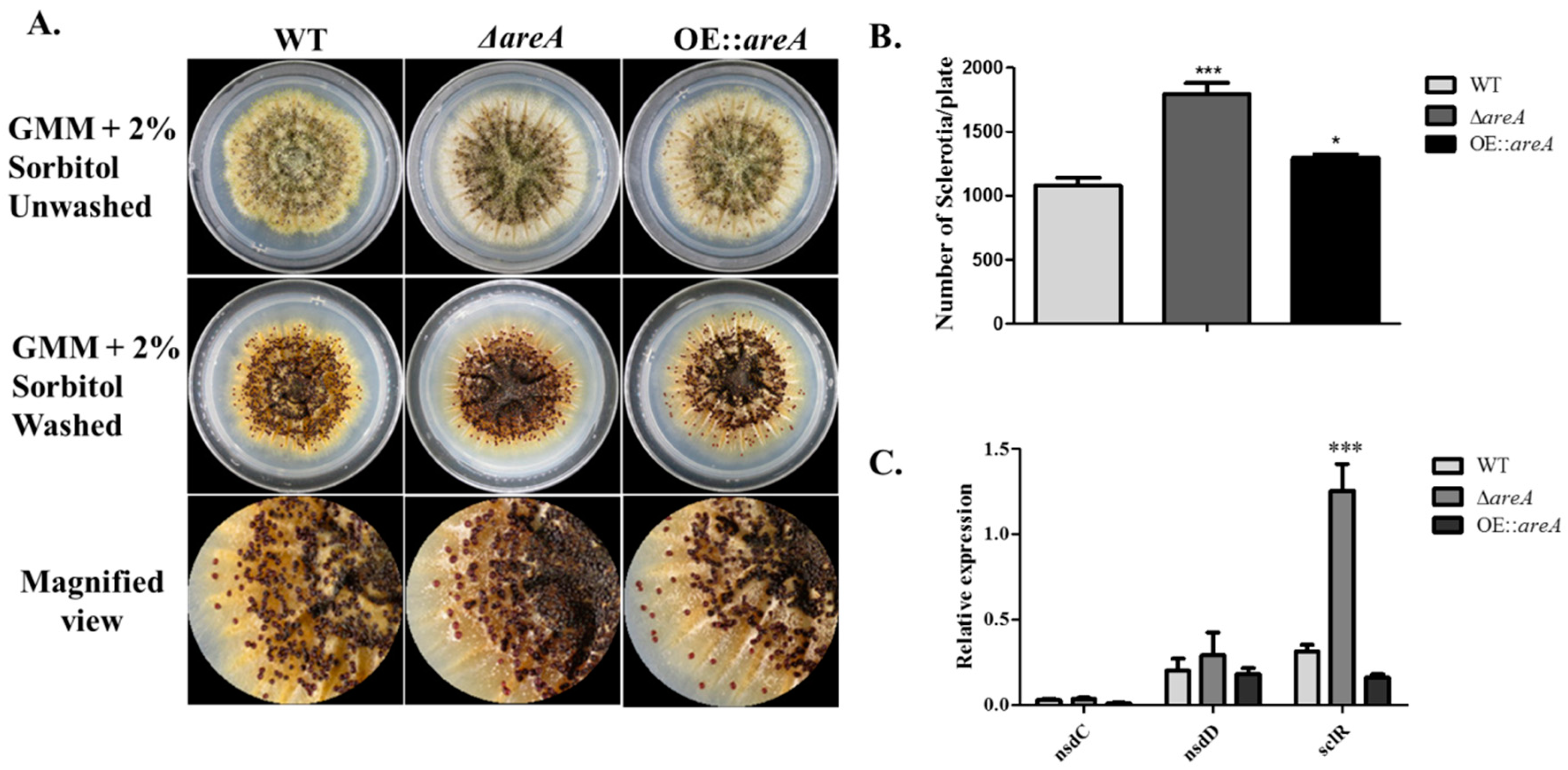 Toxins 11 00718 g005 Toxins 11 00718 g005