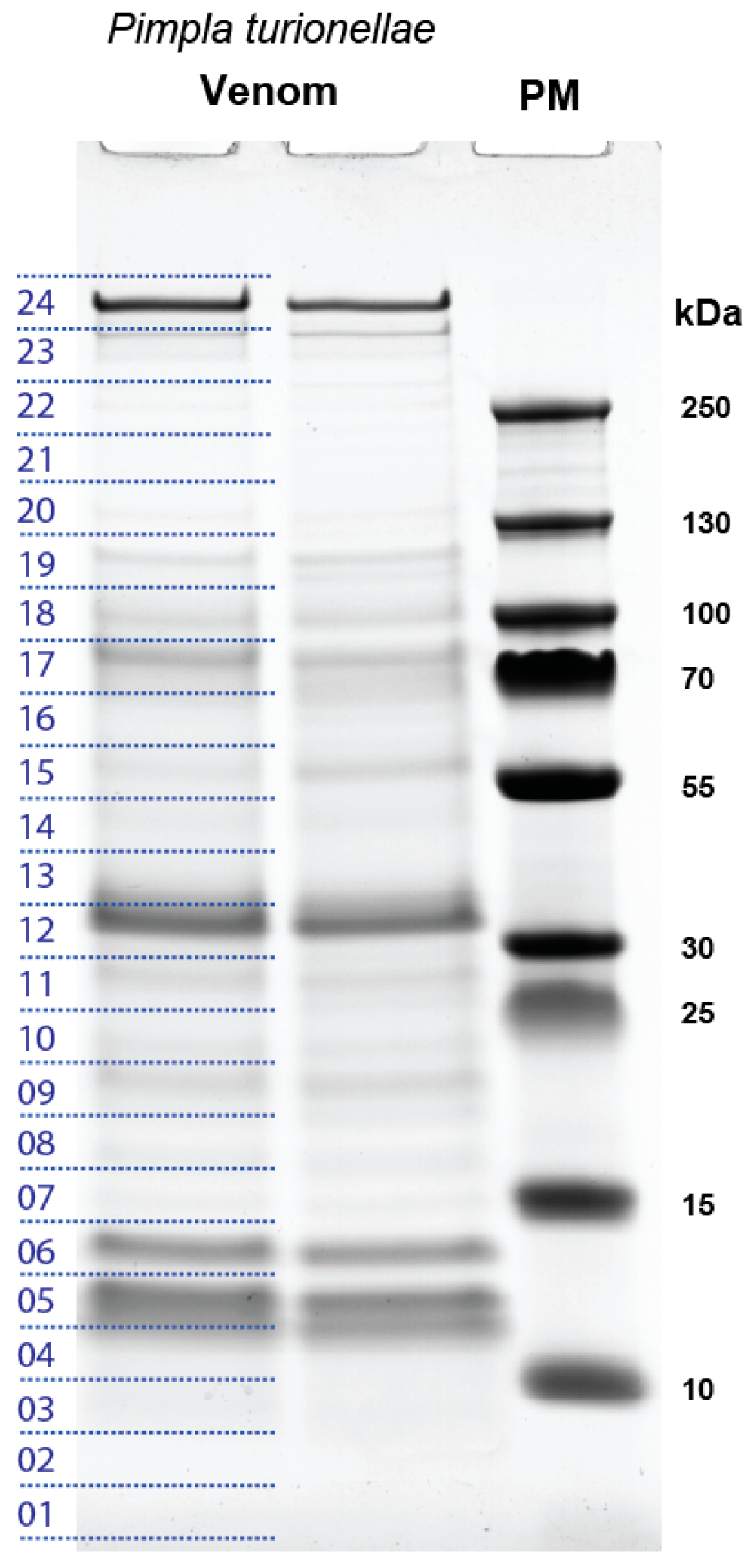Toxins 11 00721 g002 Toxins 11 00721 g002