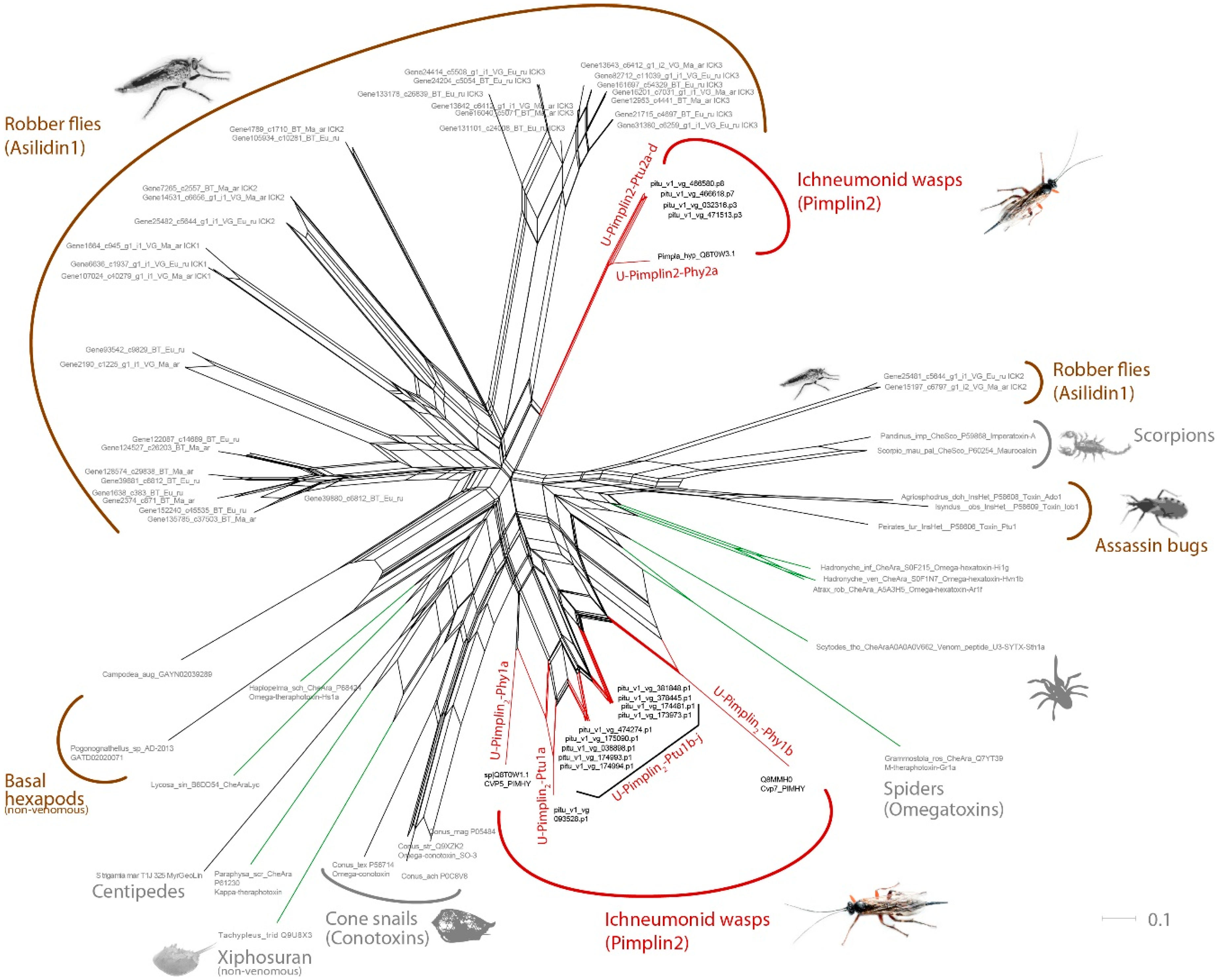 Toxins 11 00721 g004 Toxins 11 00721 g004