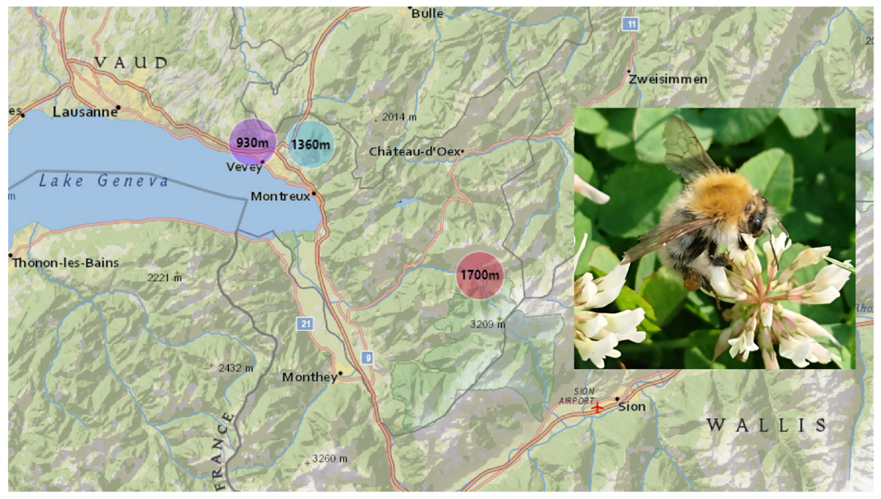 Toxins 12 00004 g003