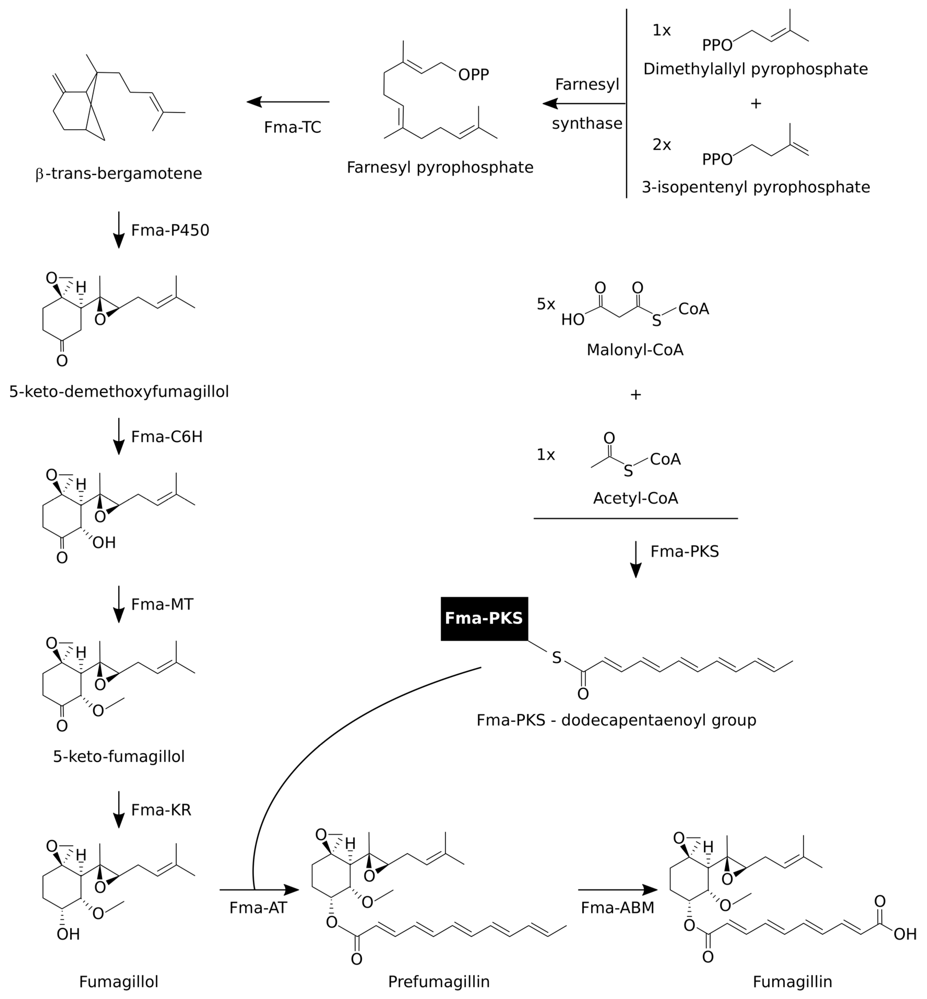 Toxins 12 00007 g004 Toxins 12 00007 g004