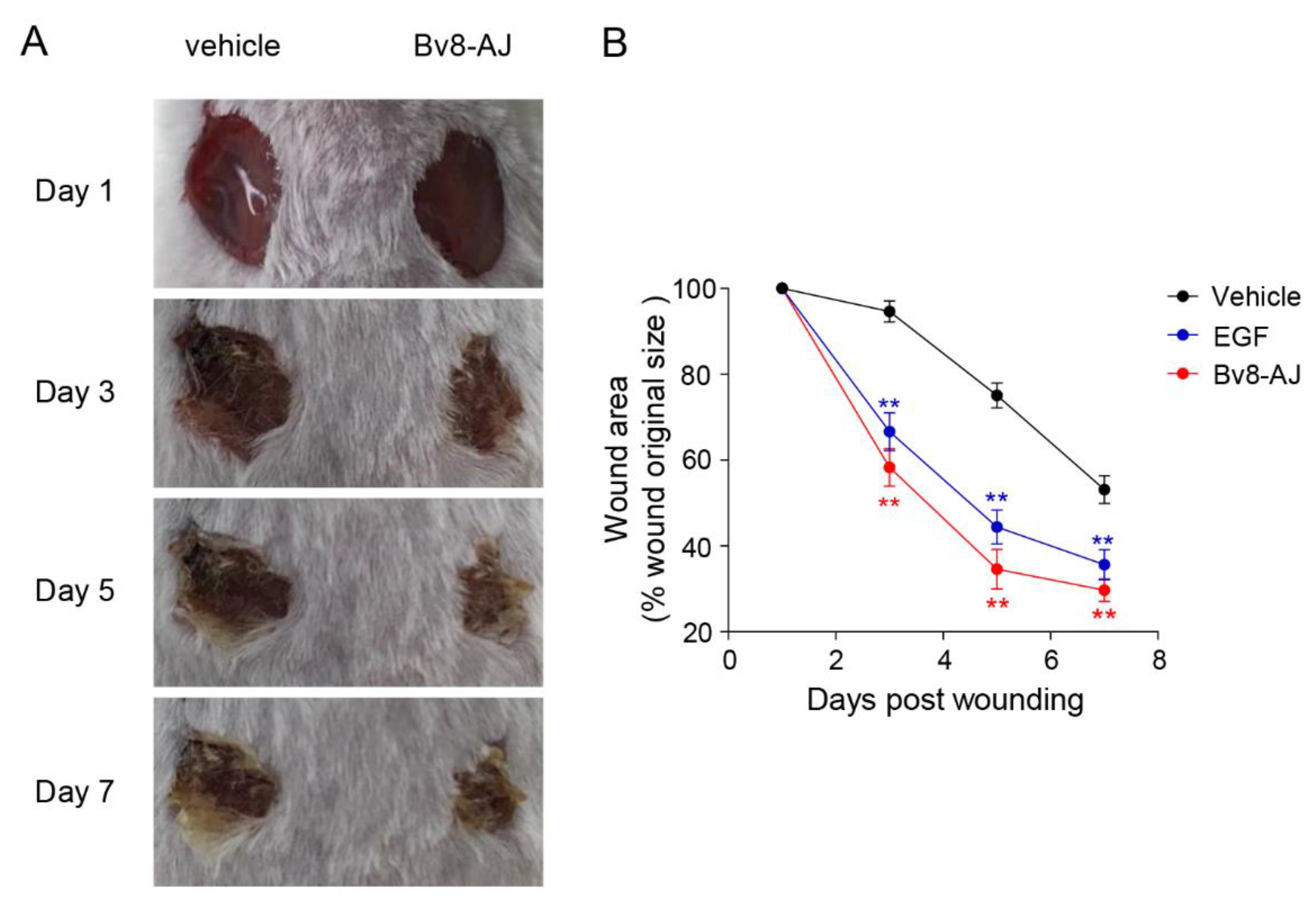 Toxins 12 00015 g004