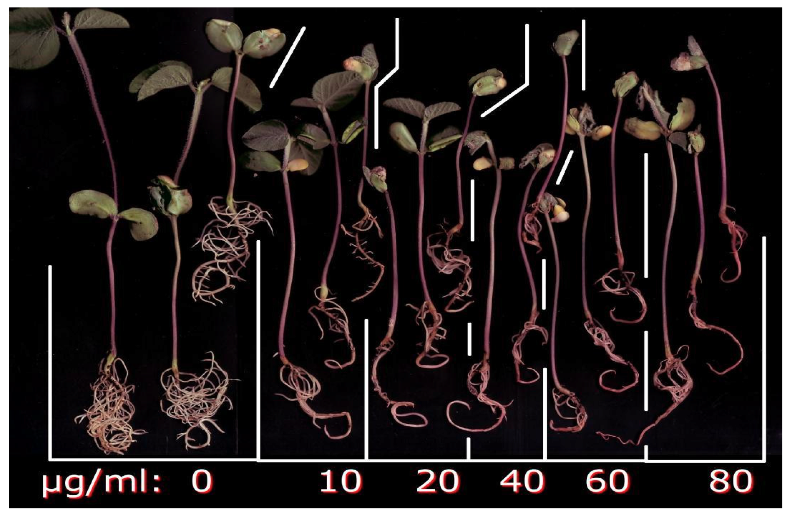 Toxins 12 00025 g004