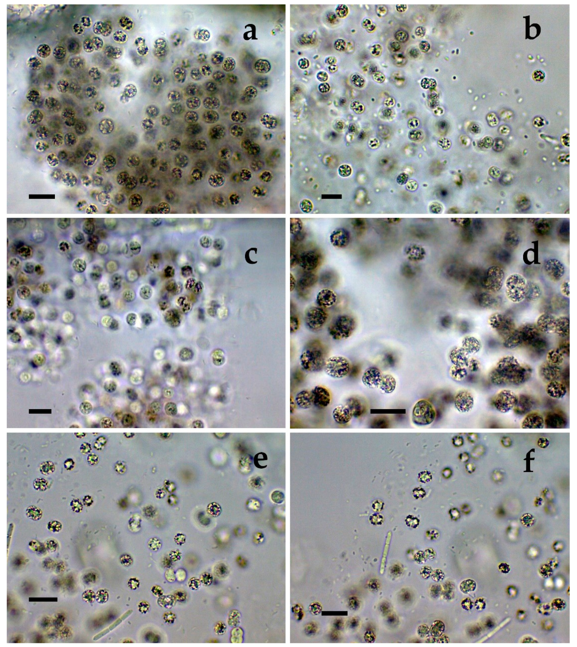 Toxins 12 00039 g001