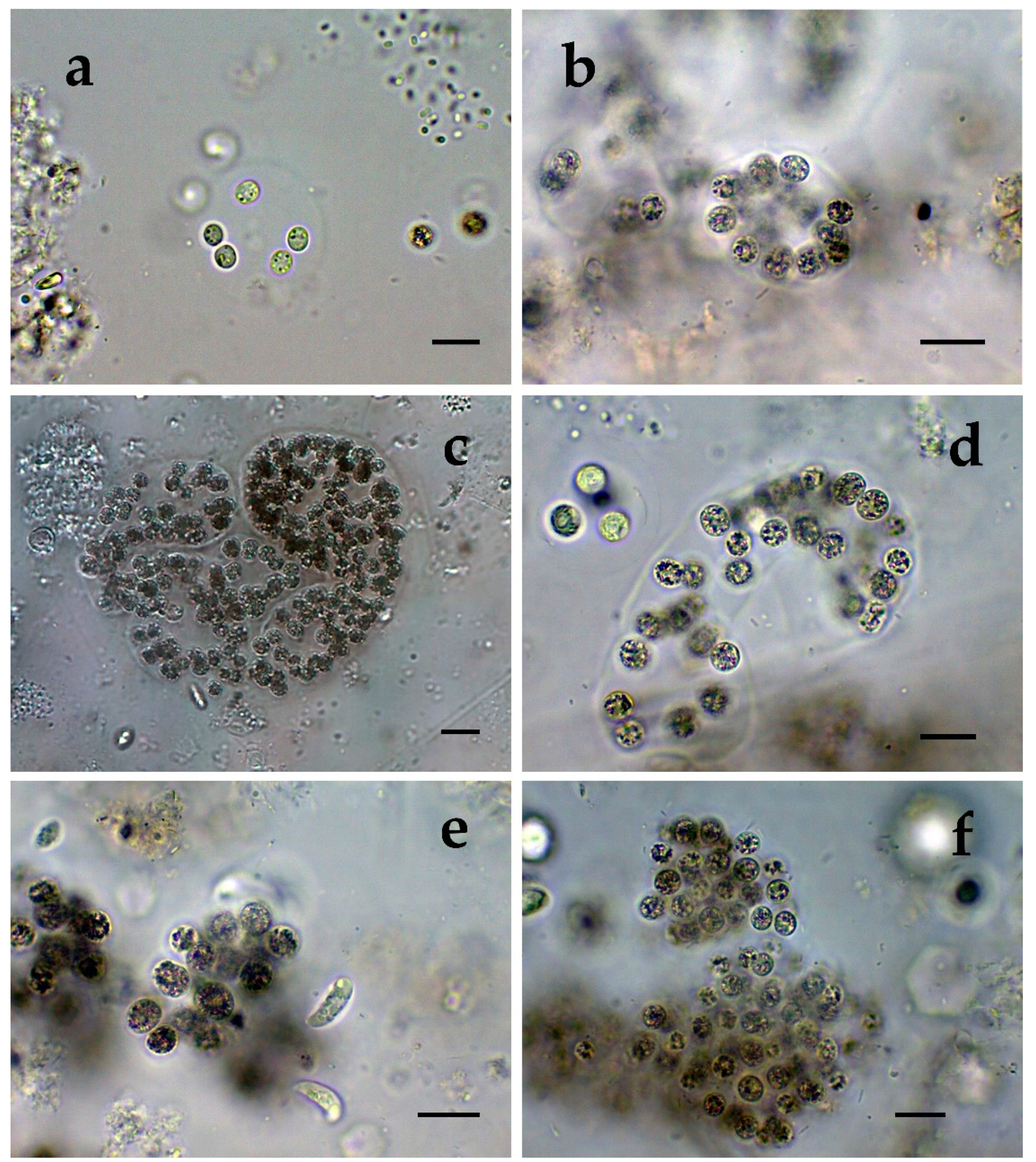 Toxins 12 00039 g002