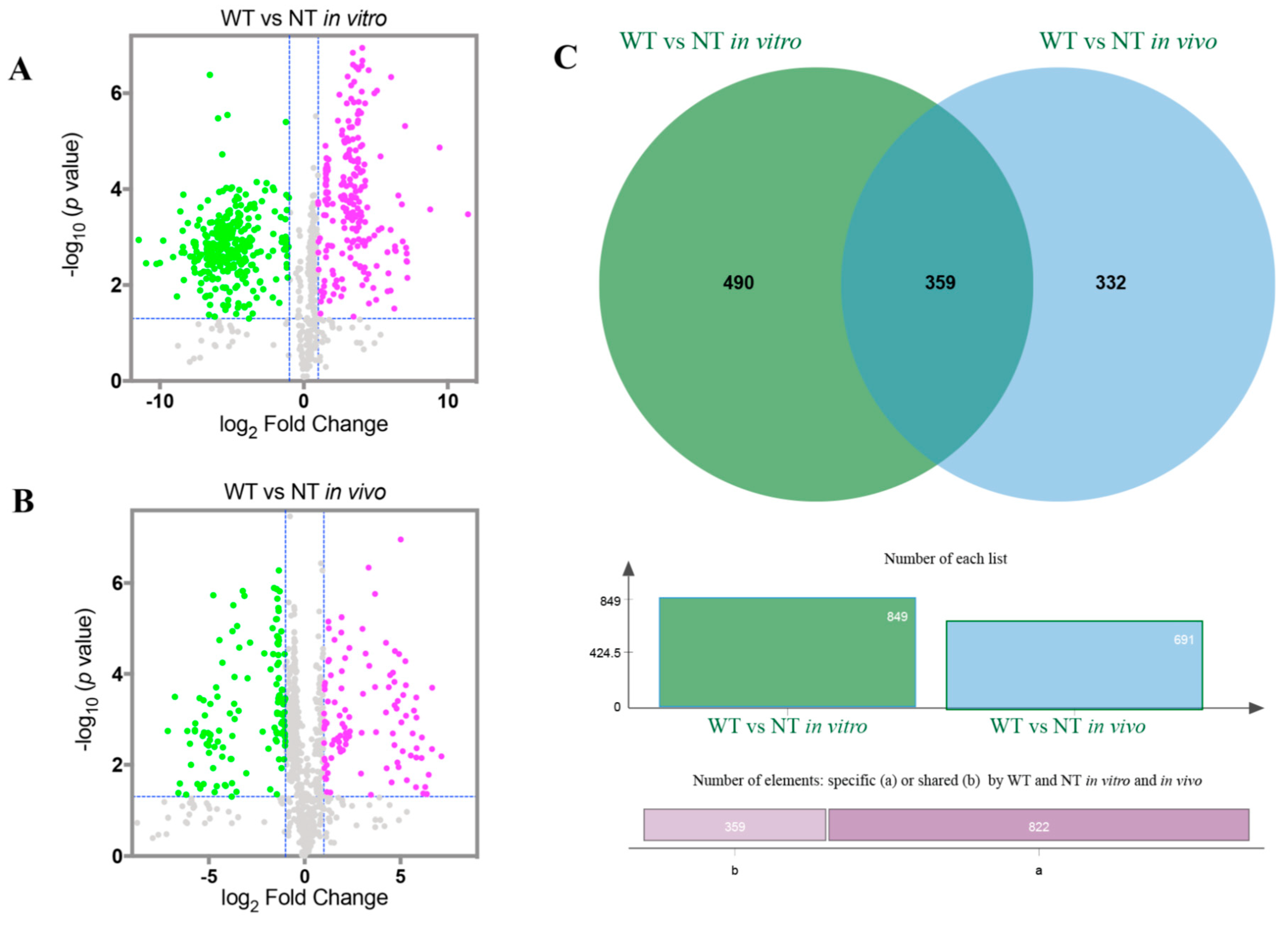 Toxins 12 00057 g004