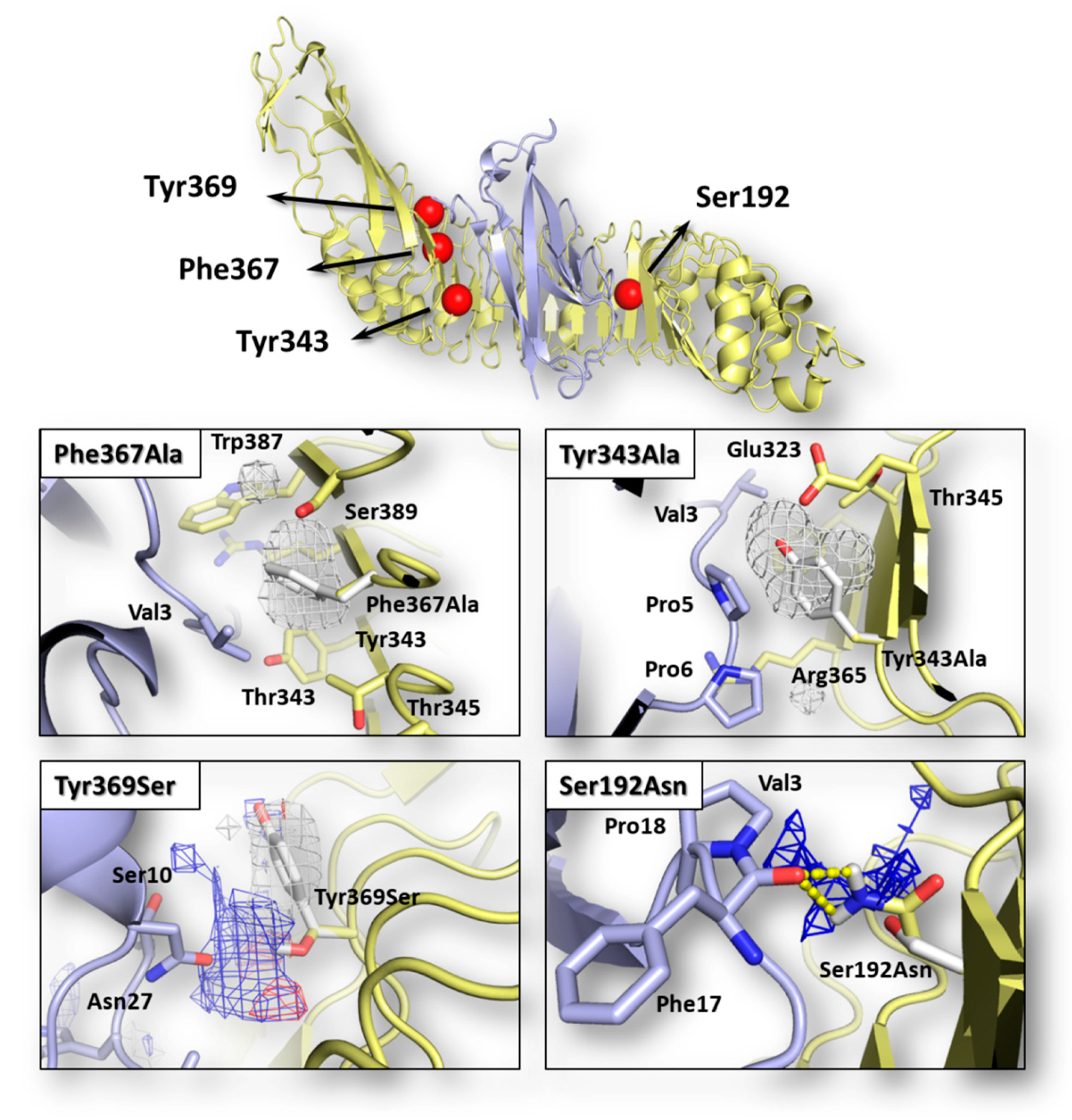 Toxins 12 00060 g001 Toxins 12 00060 g001