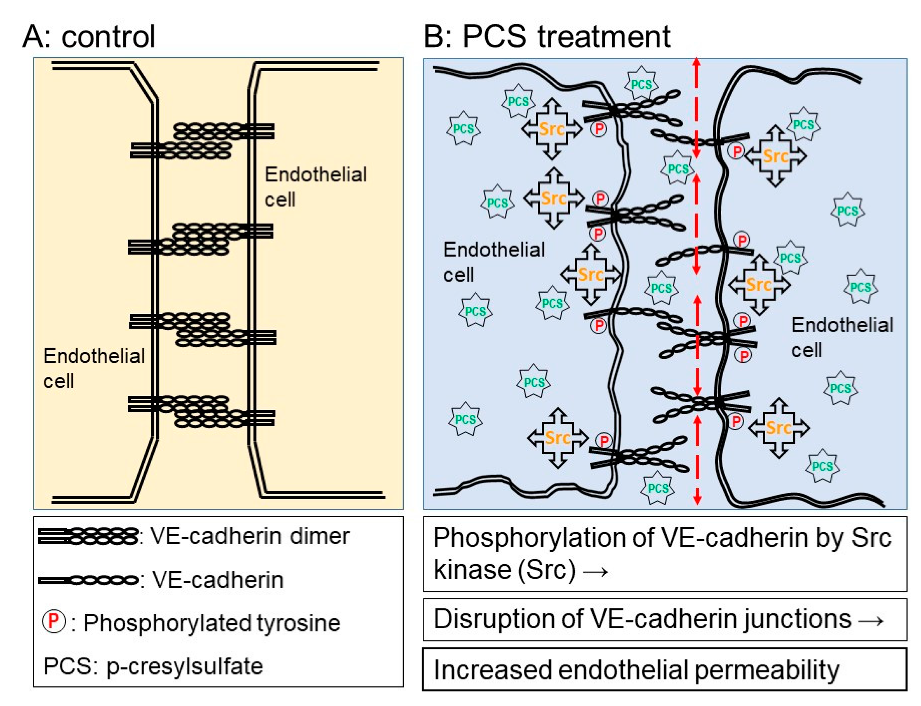 Toxins 12 00062 g007