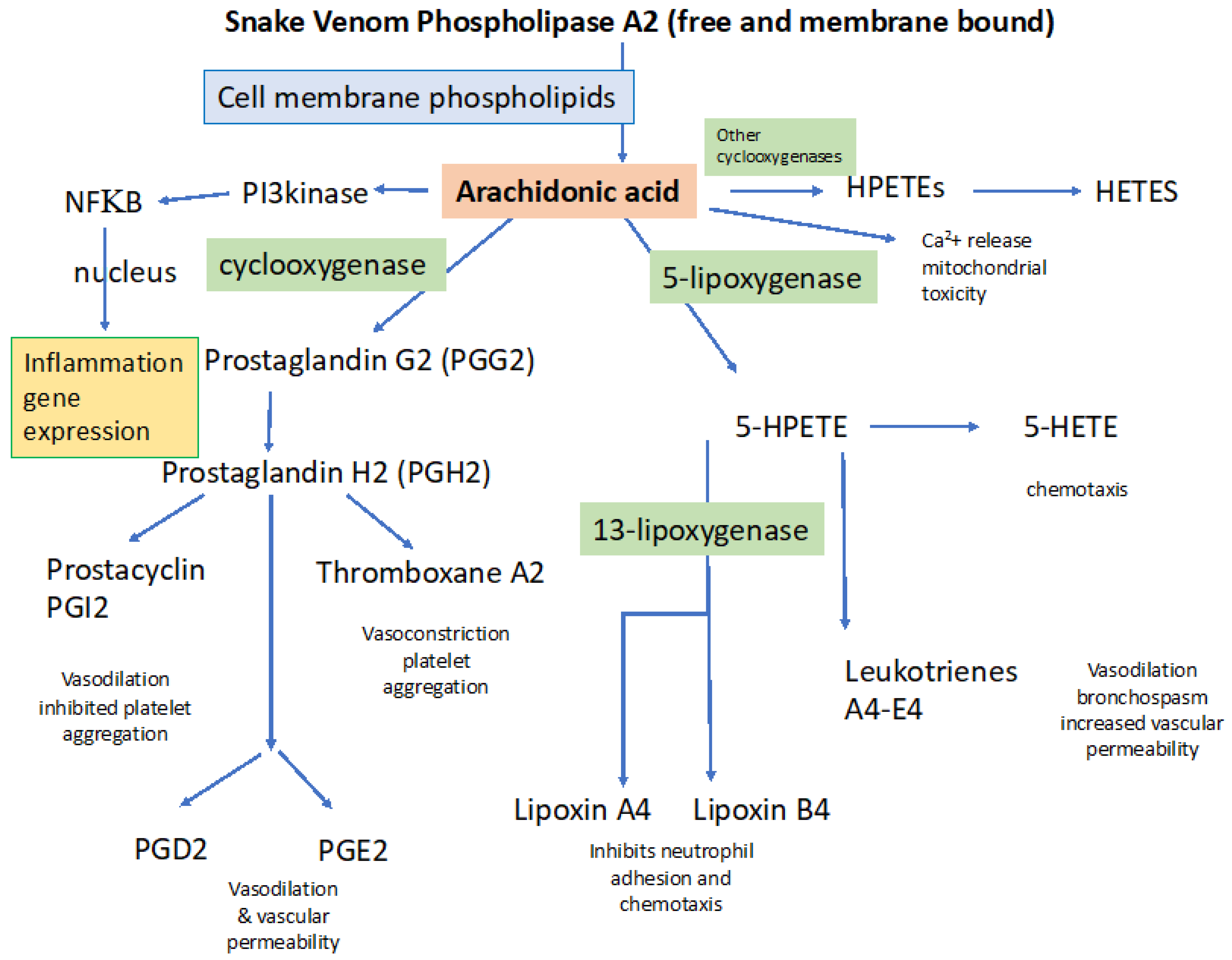 Toxins 12 00068 g002