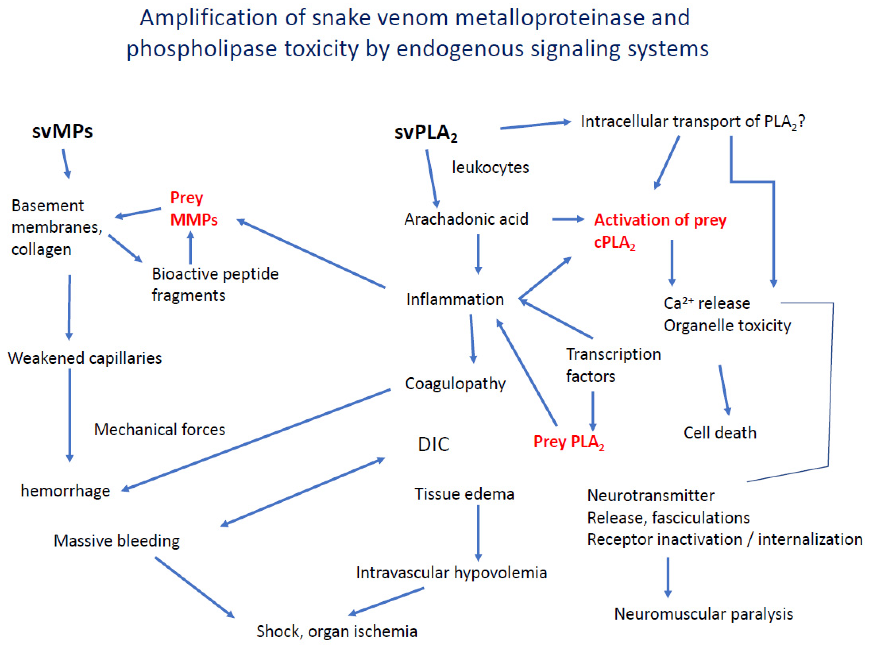 Toxins 12 00068 g004