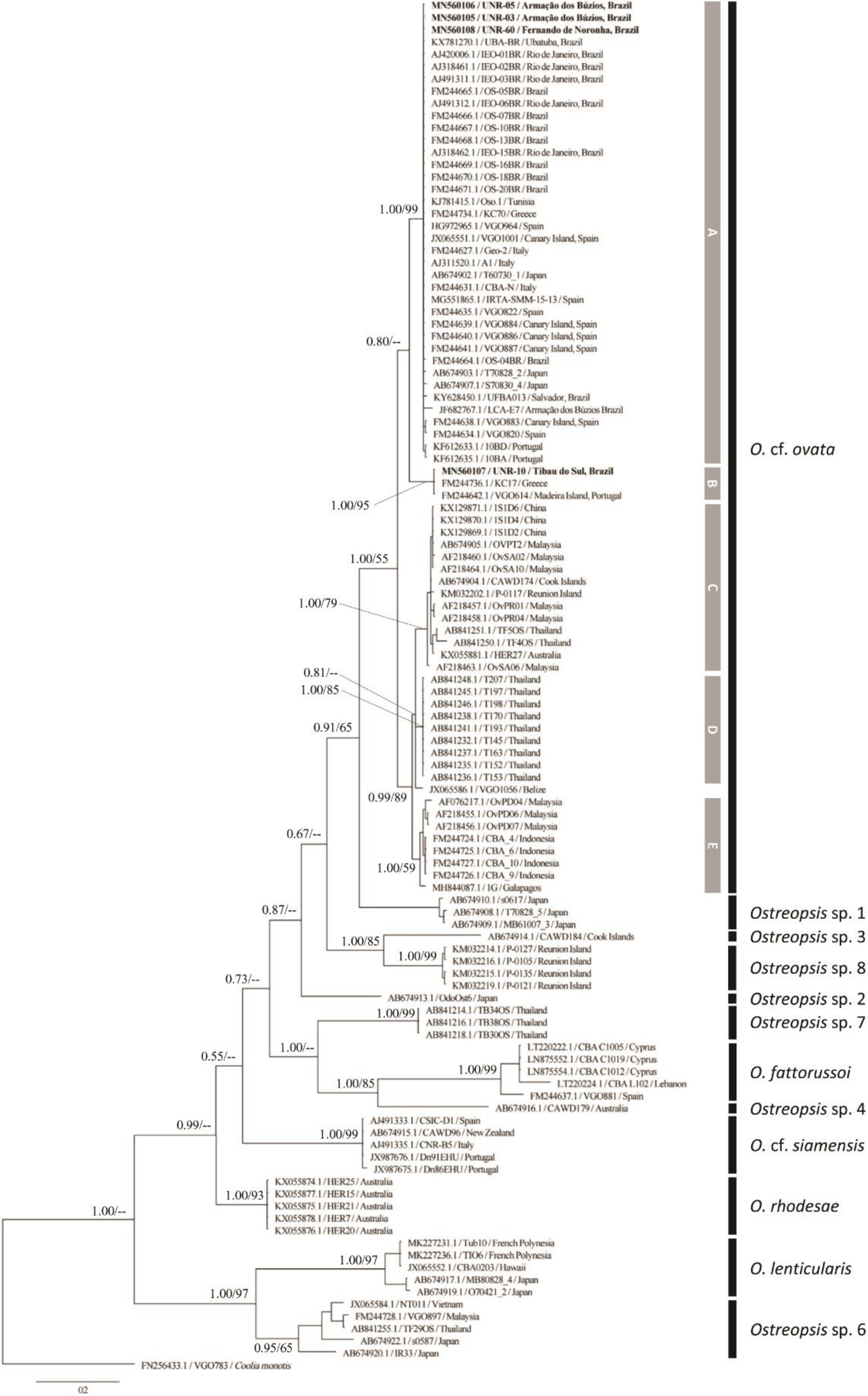 Toxins 12 00070 g005