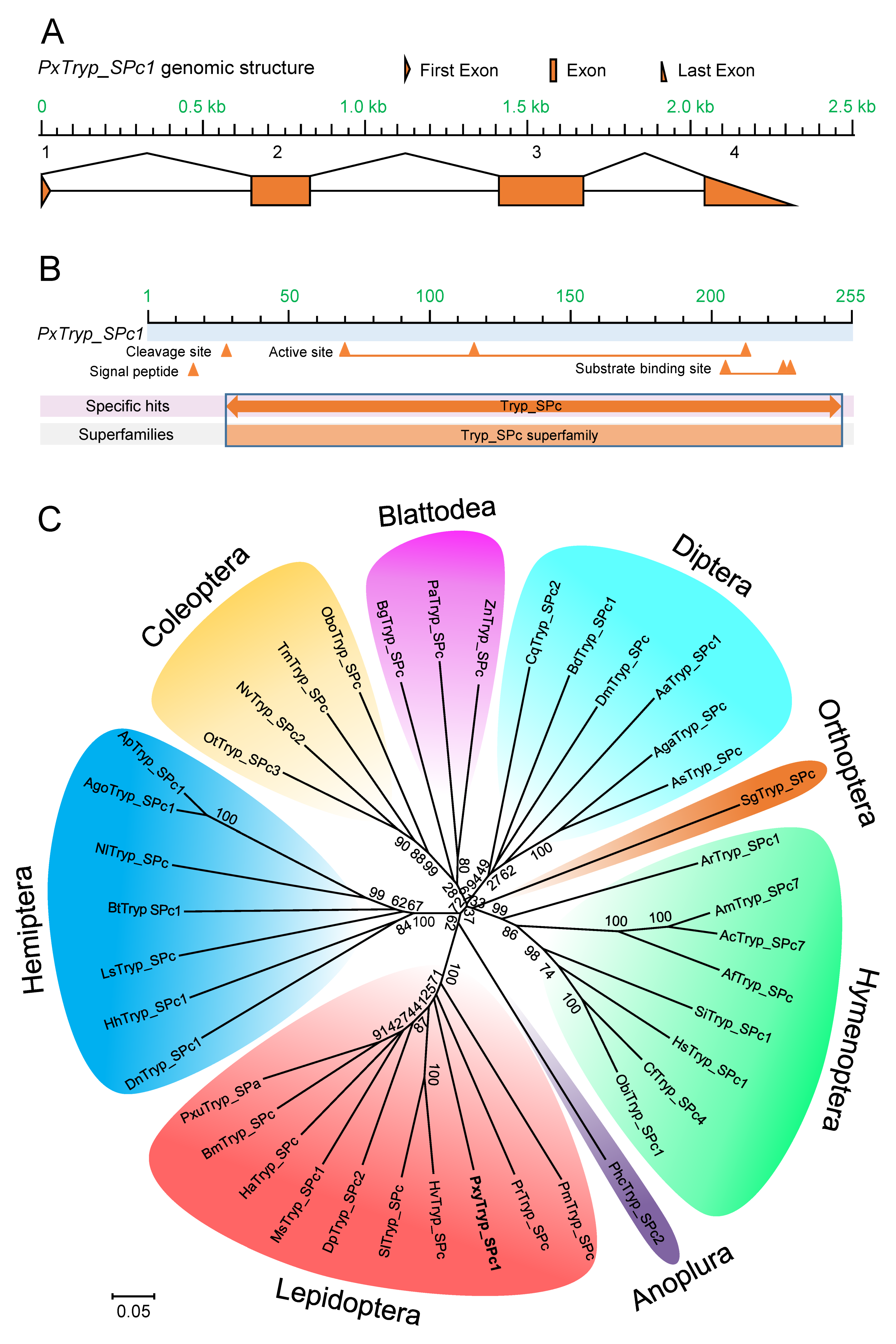 Toxins 12 00076 g002
