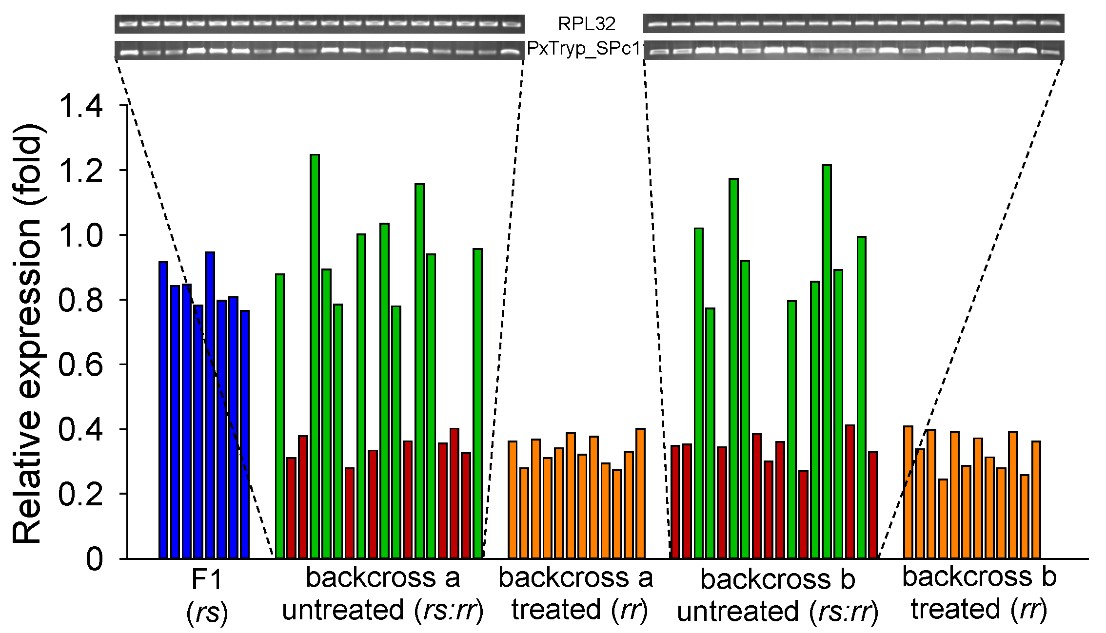 Toxins 12 00076 g005