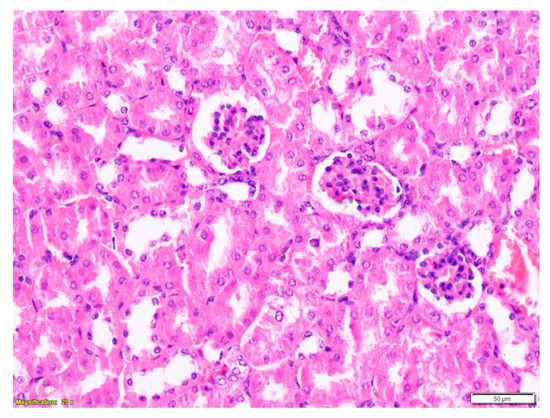 Toxins 12 00088 g0a4