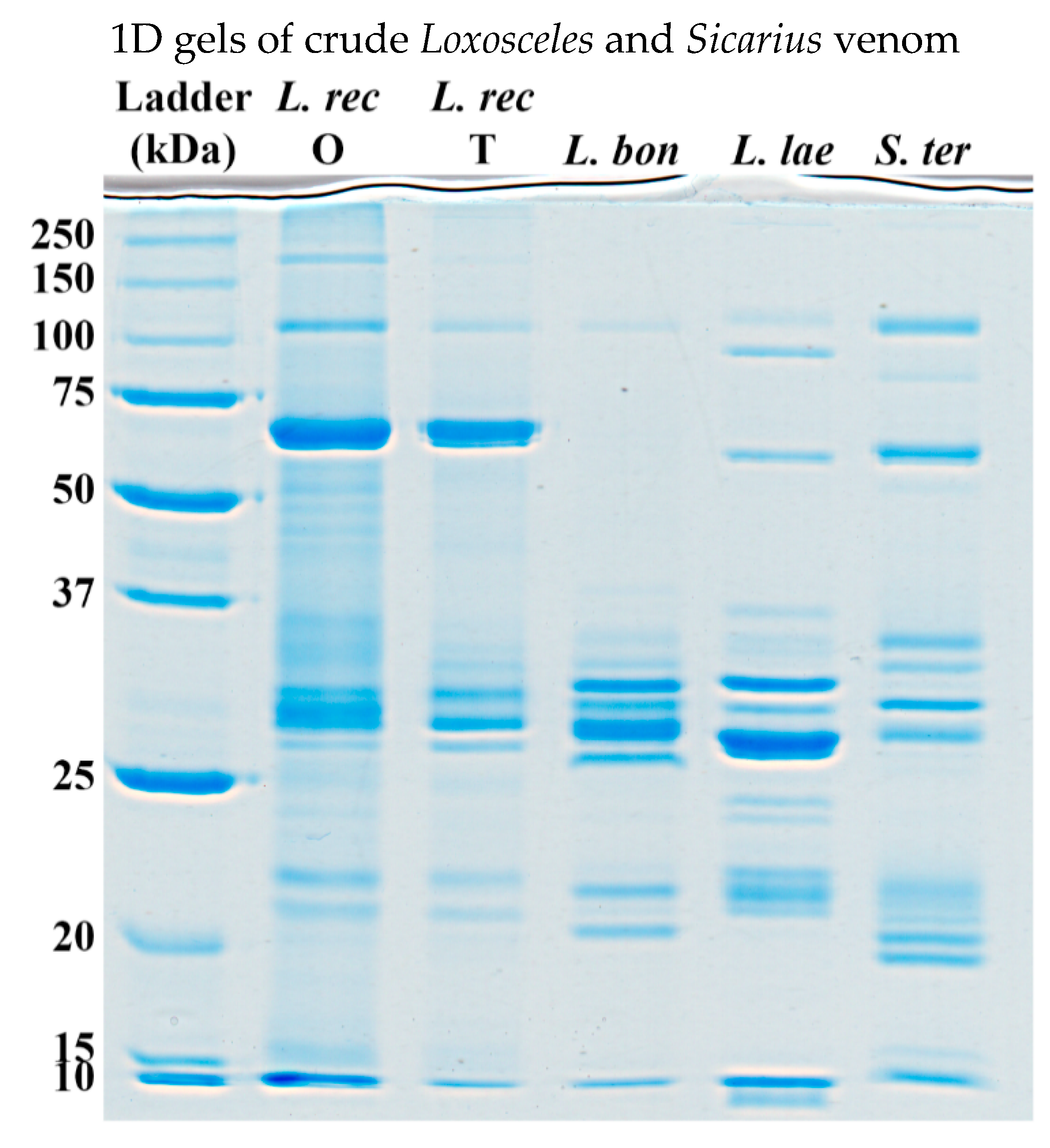 Toxins 12 00091 g005 Toxins 12 00091 g005