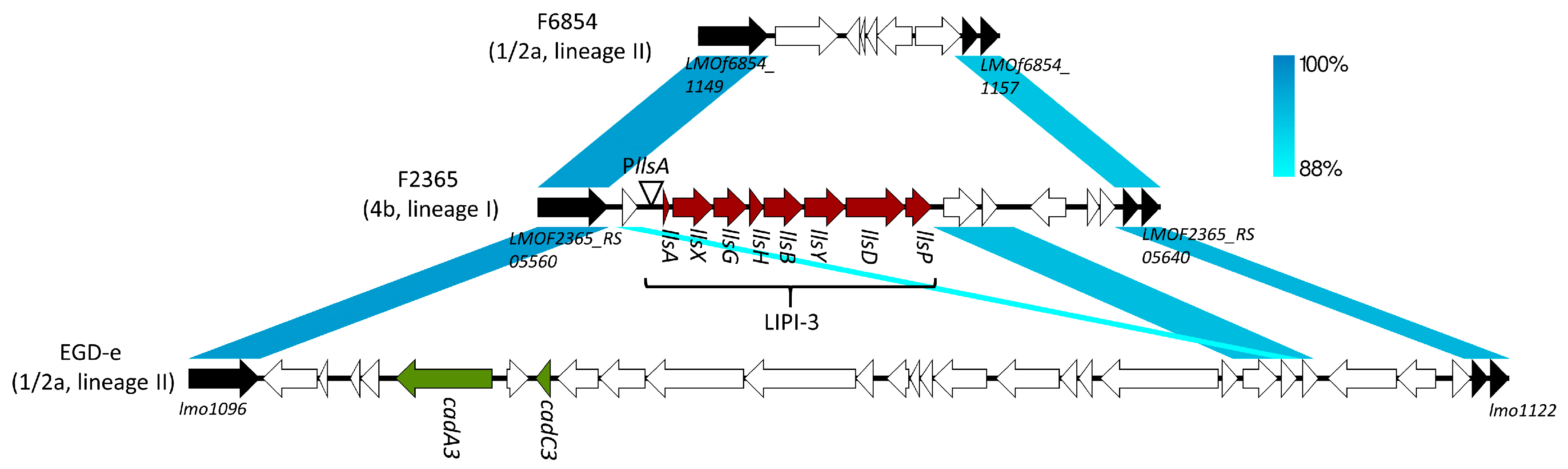 Toxins 12 00103 g001