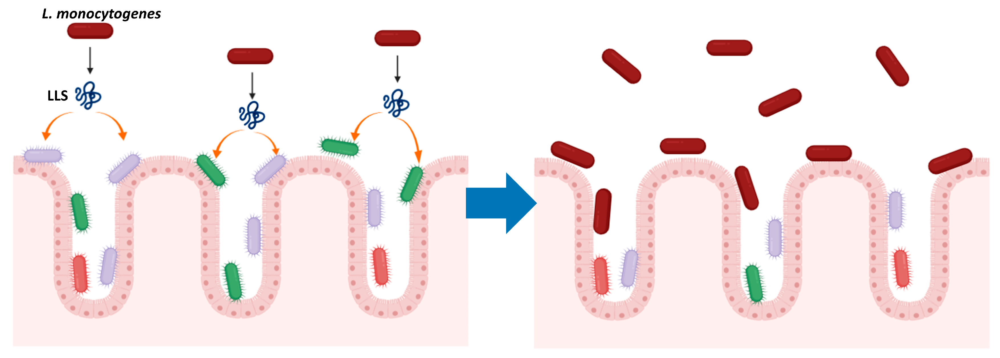 Toxins 12 00103 g002
