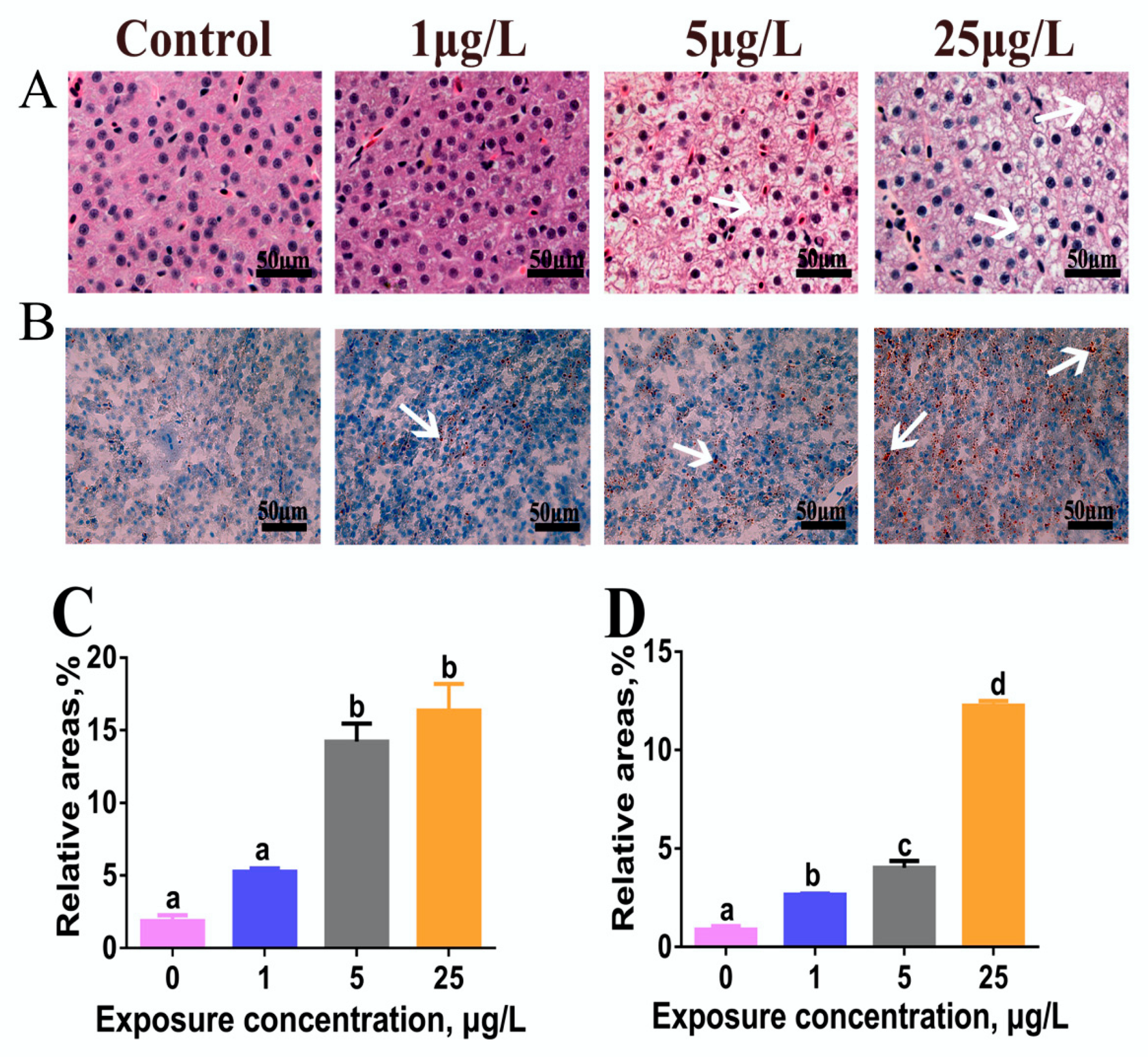Toxins 12 00107 g001