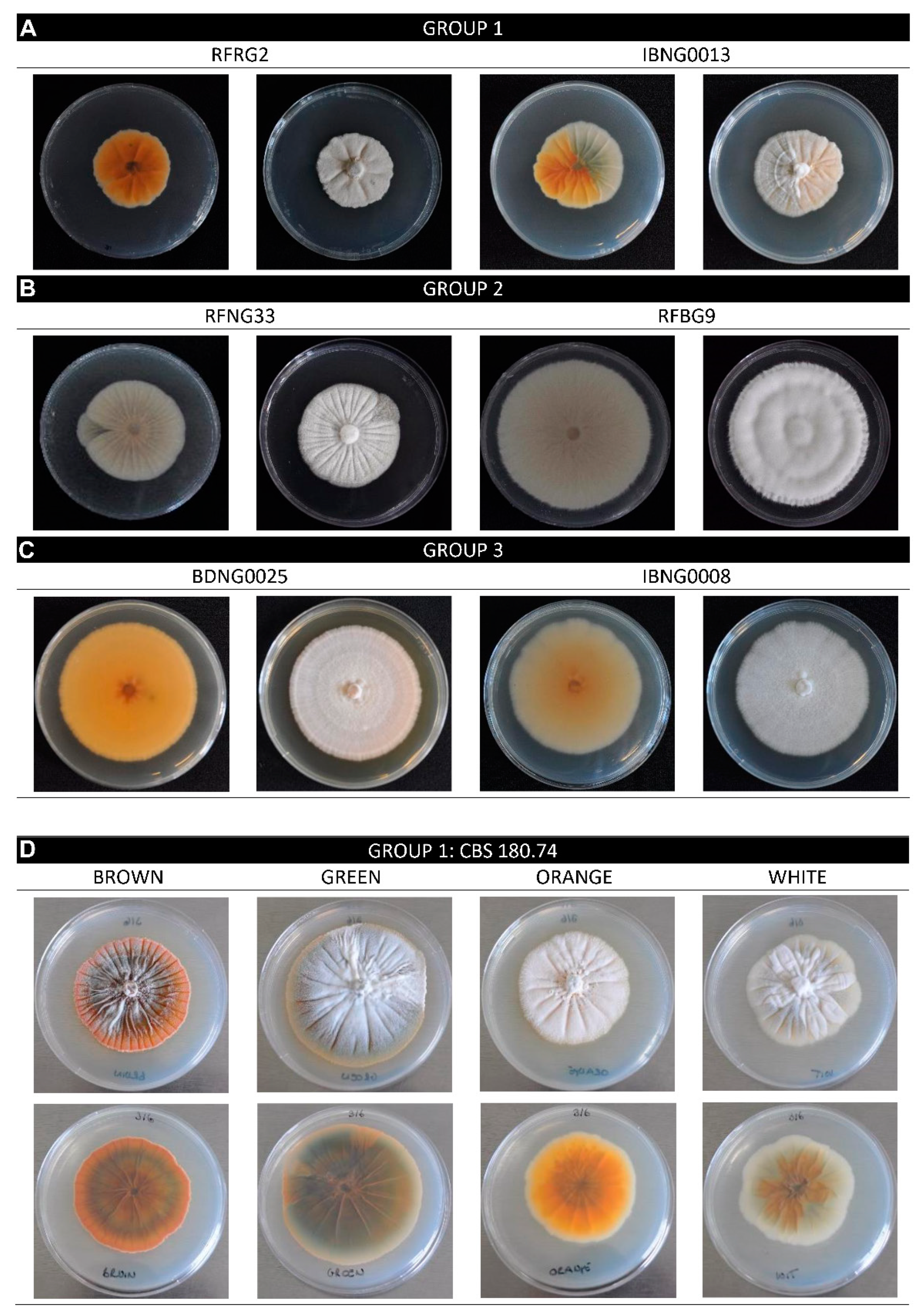 Toxins 12 00109 g002