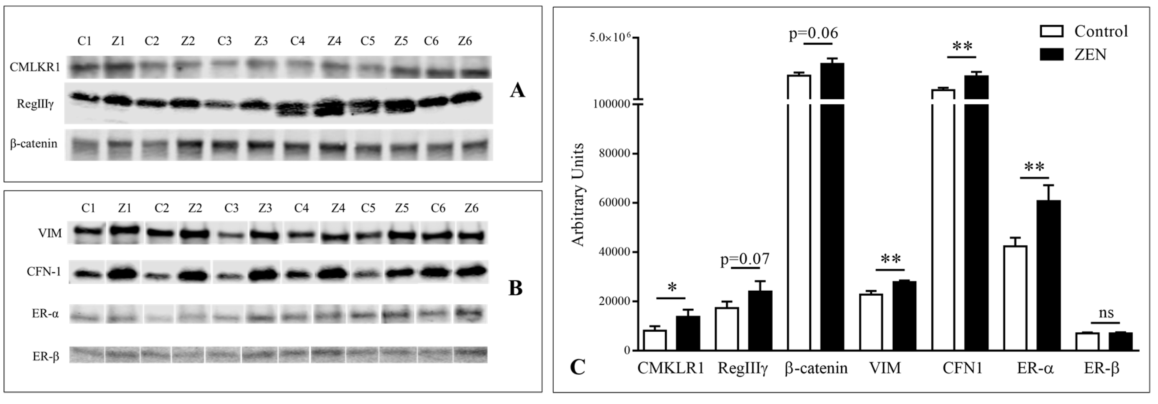 Toxins 12 00113 g002