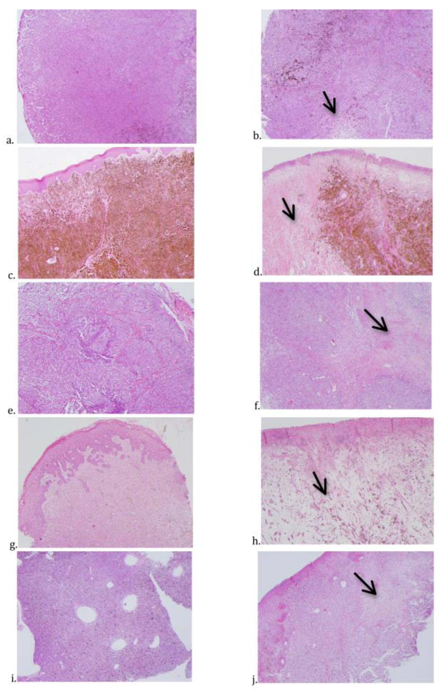 Toxins 12 00157 g002