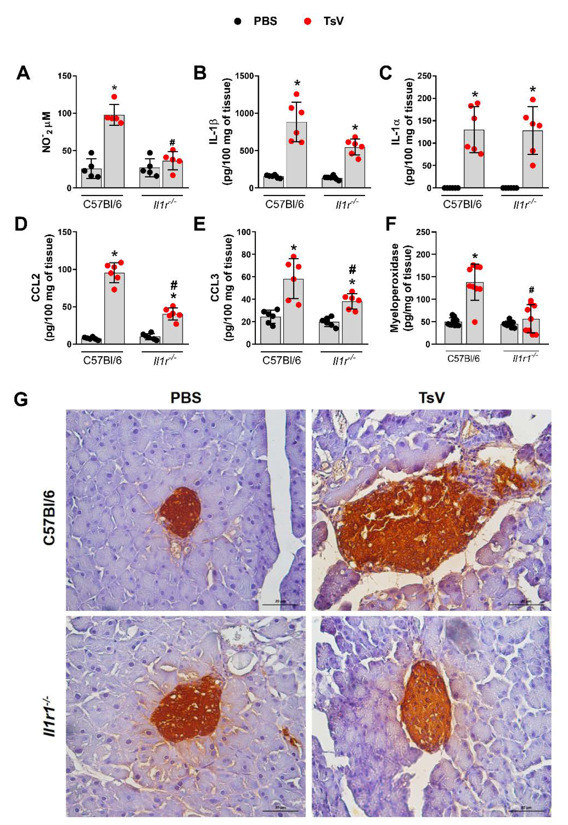 Toxins 12 00163 g002