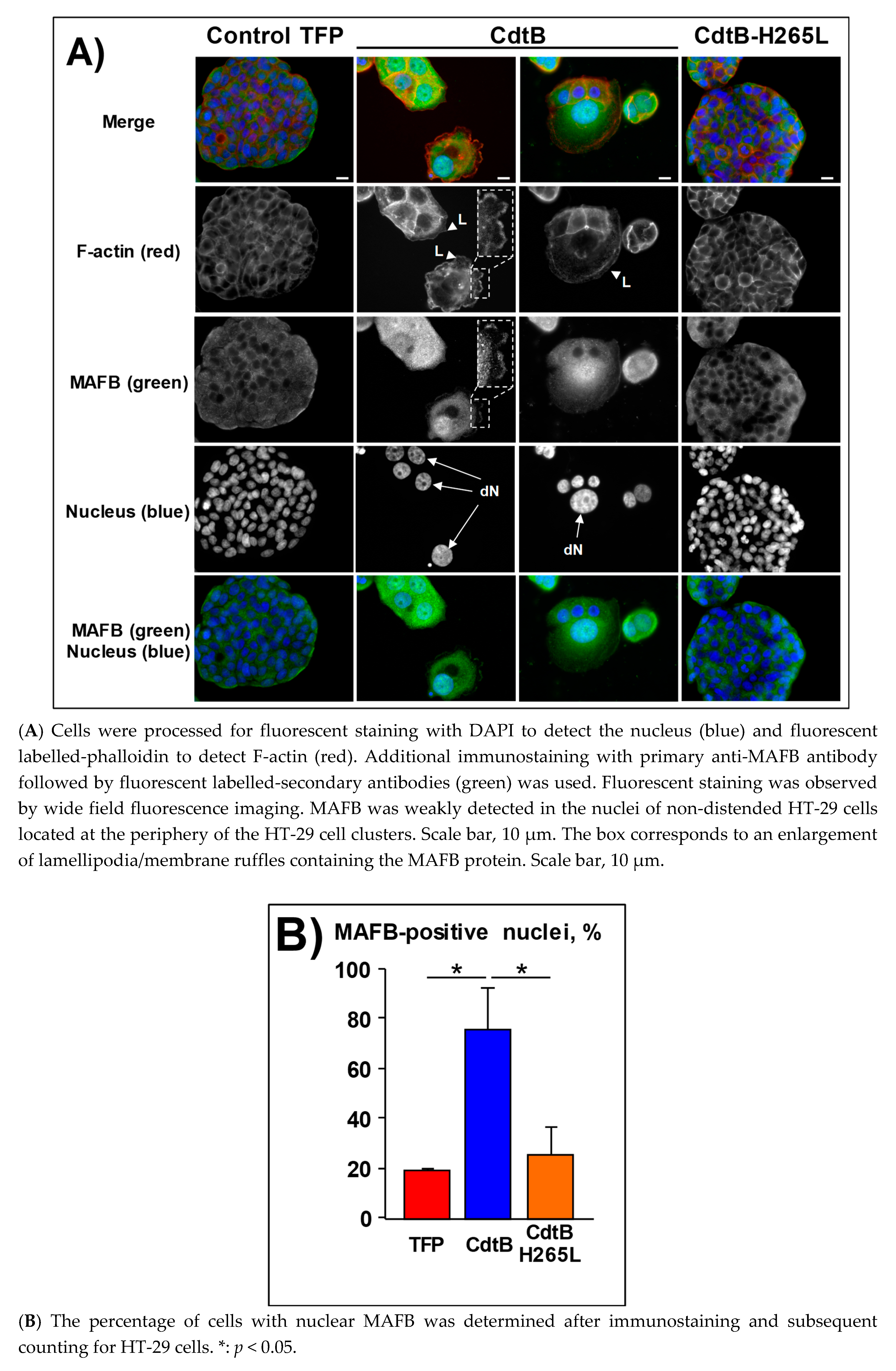 Toxins 12 00174 g004a Toxins 12 00174 g004a