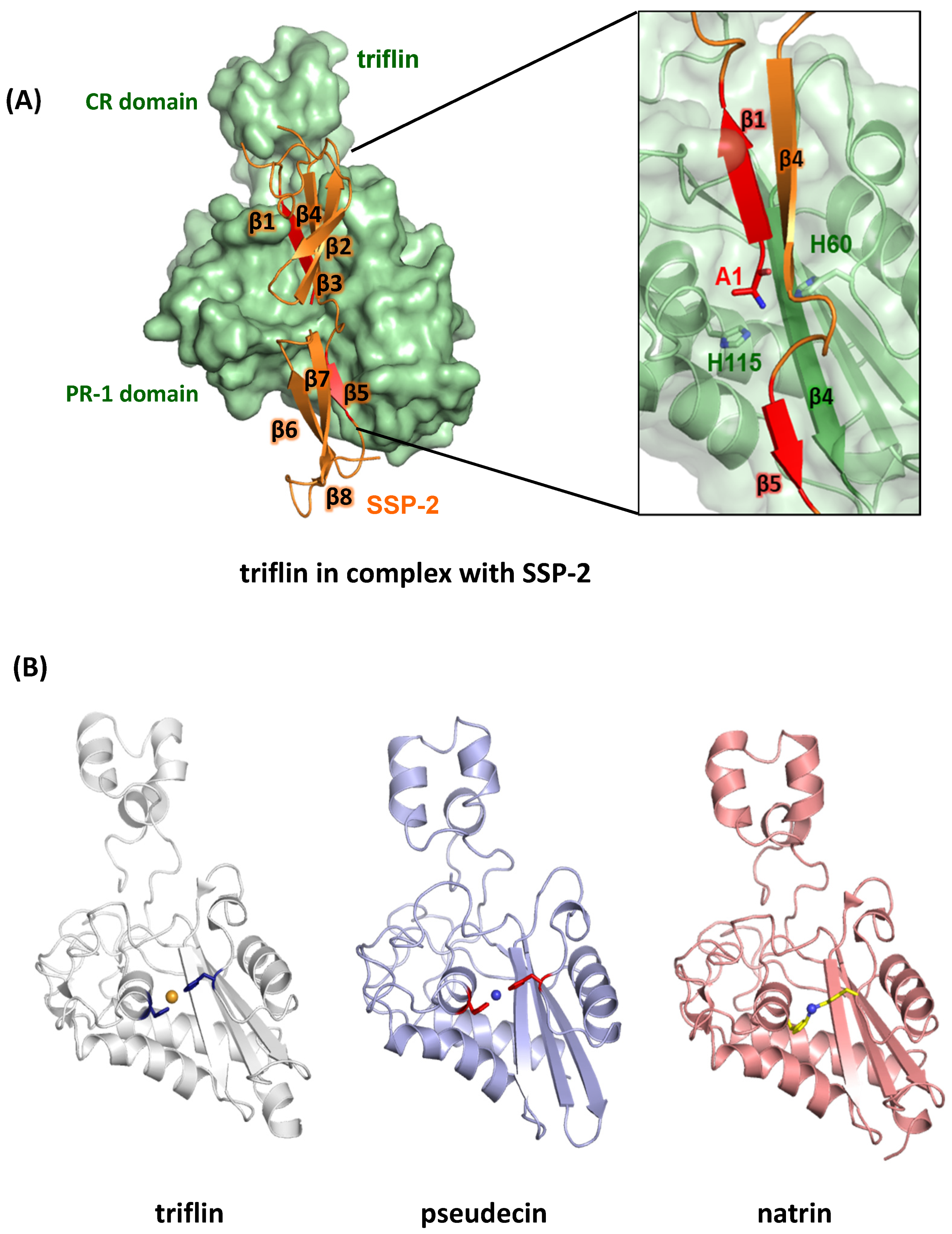 Toxins 12 00175 g002