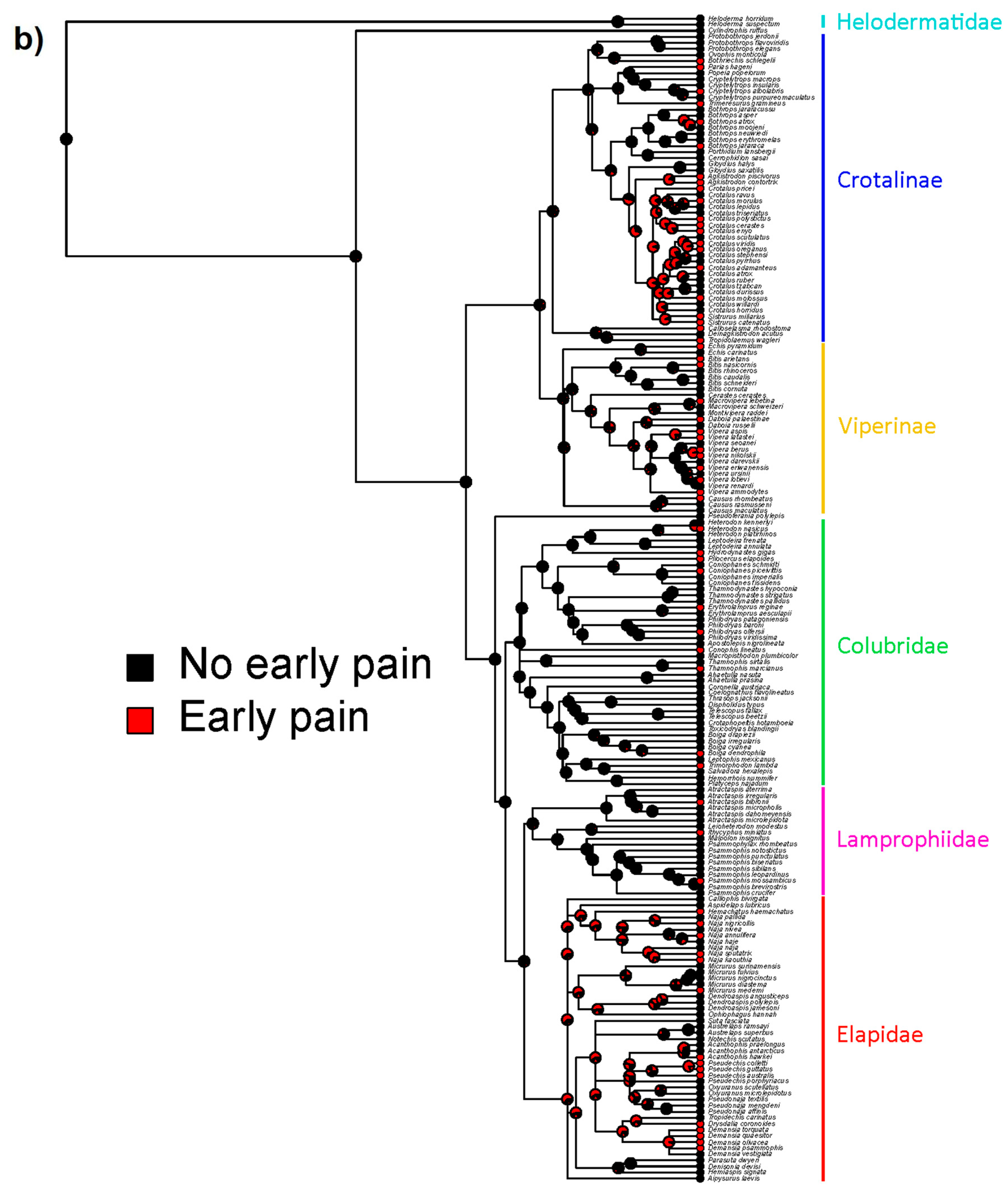 Toxins 12 00201 g004b