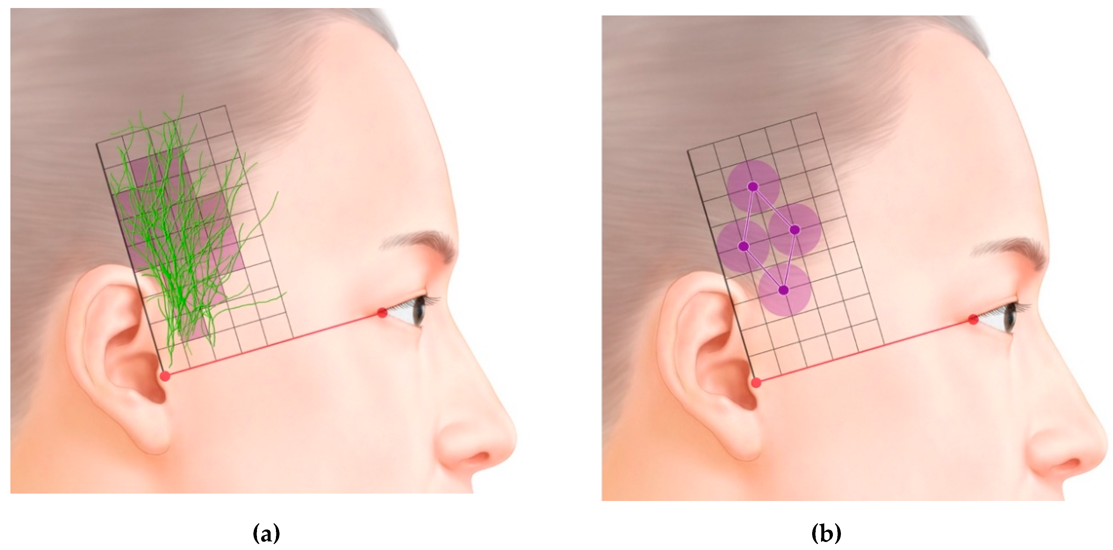 Toxins 12 00214 g002