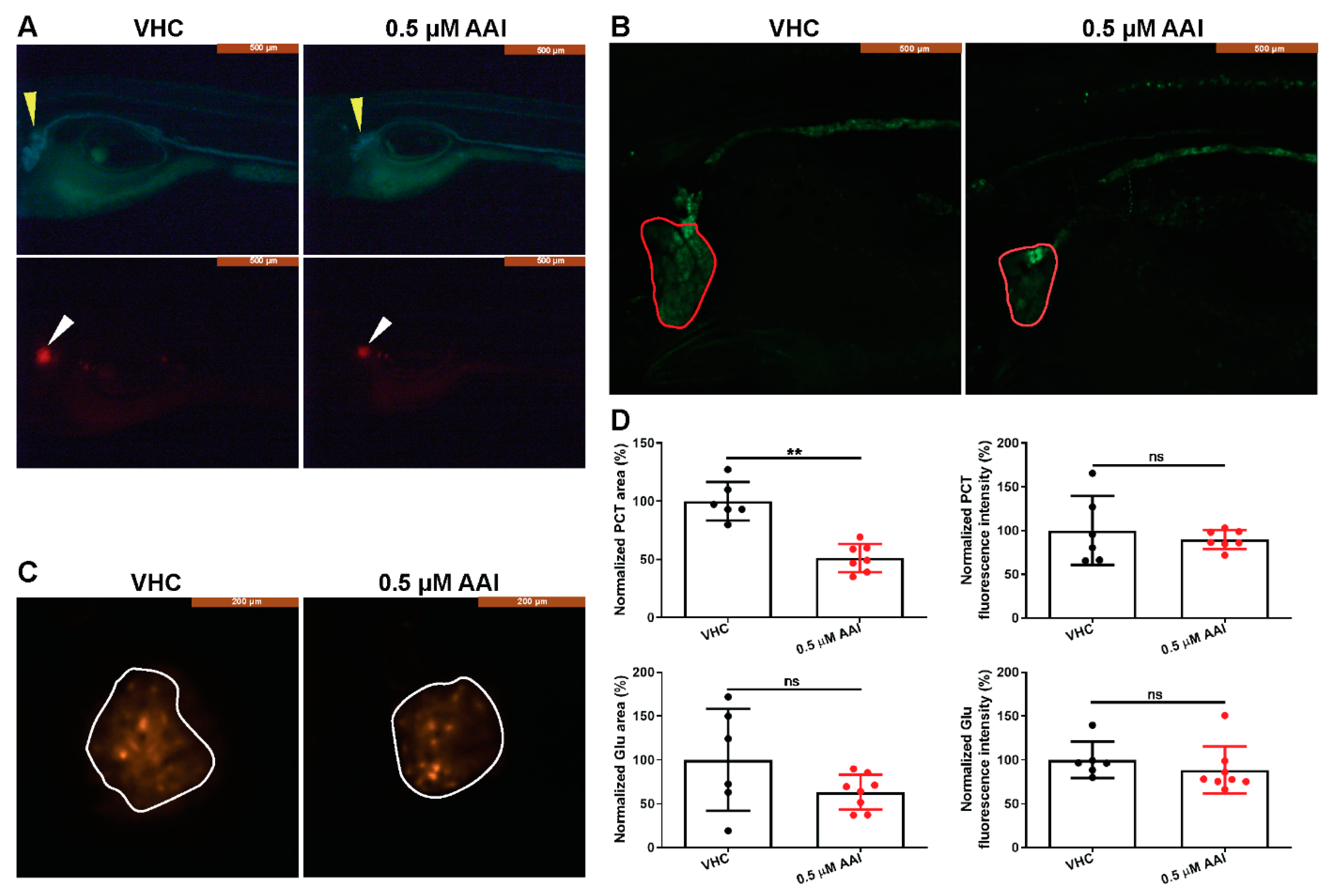 Toxins 12 00217 g004