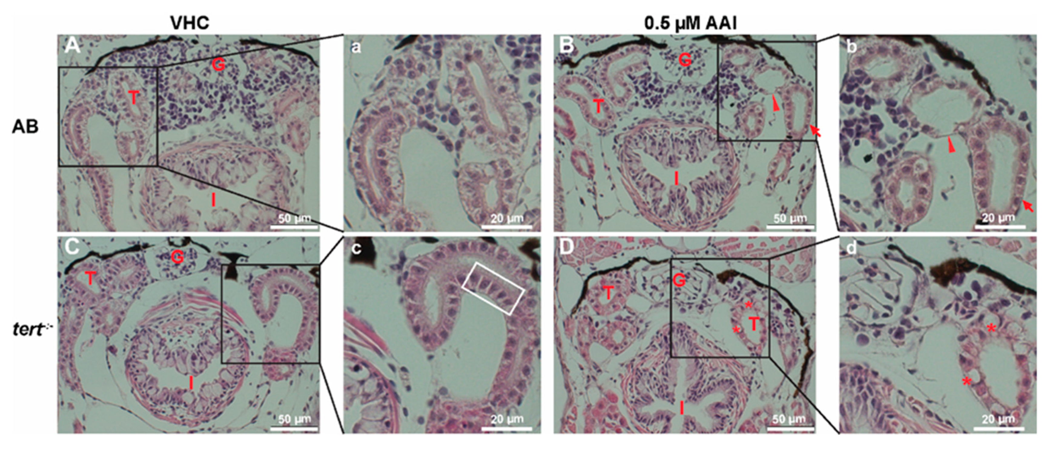 Toxins 12 00217 g005