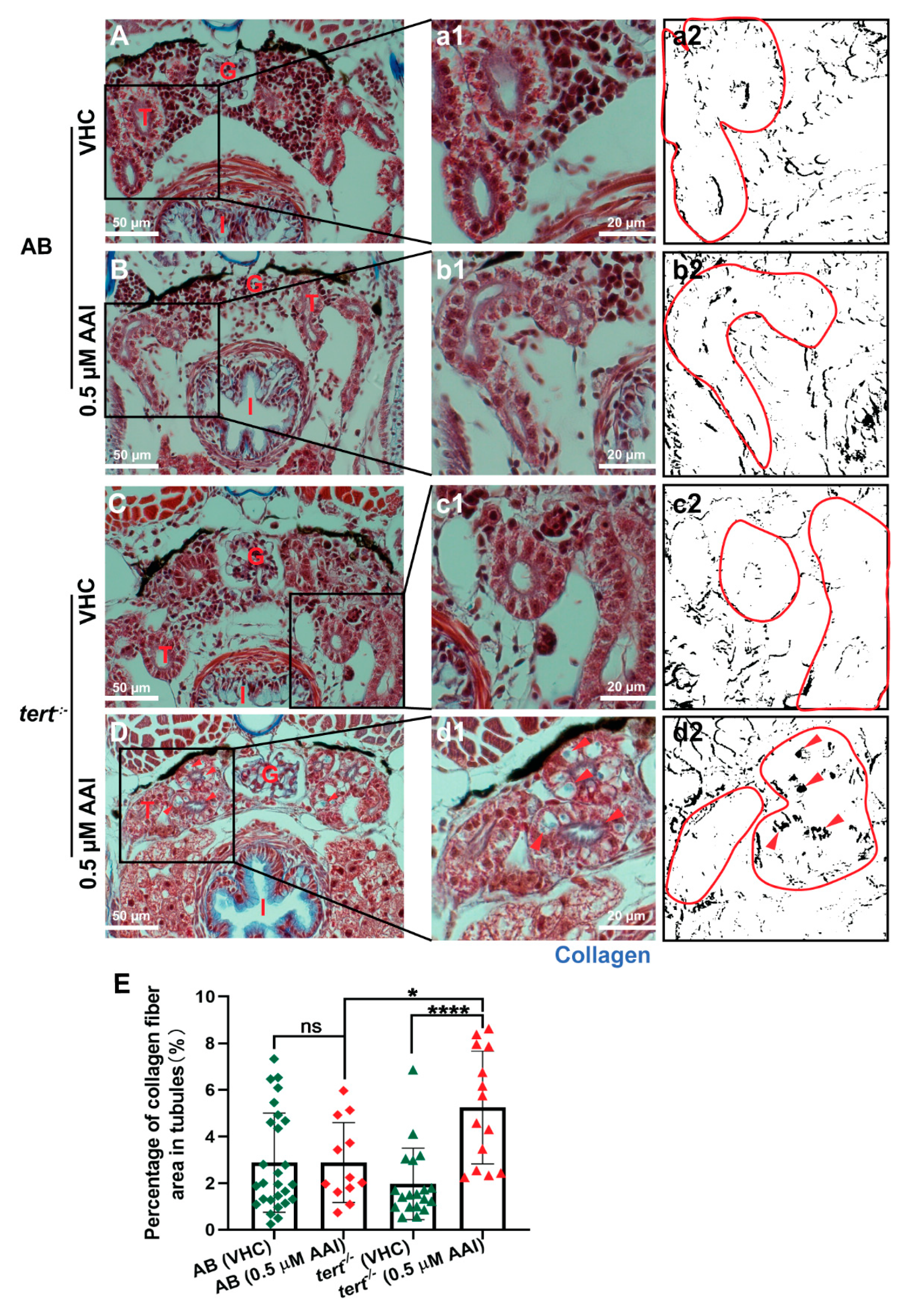 Toxins 12 00217 g006