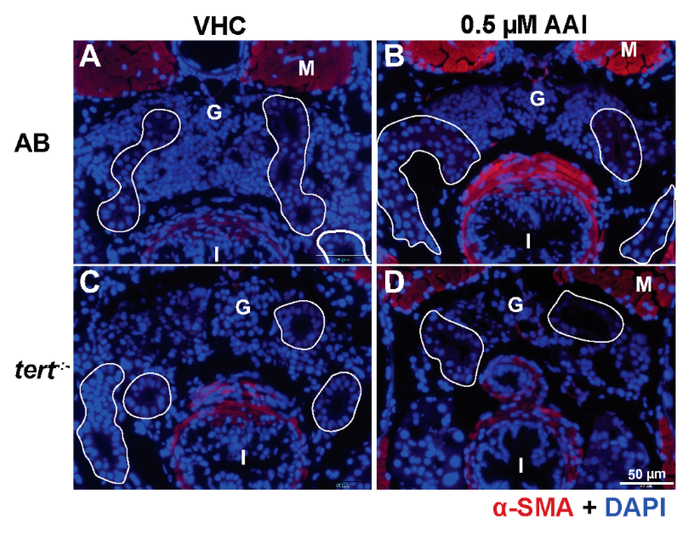 Toxins 12 00217 g007