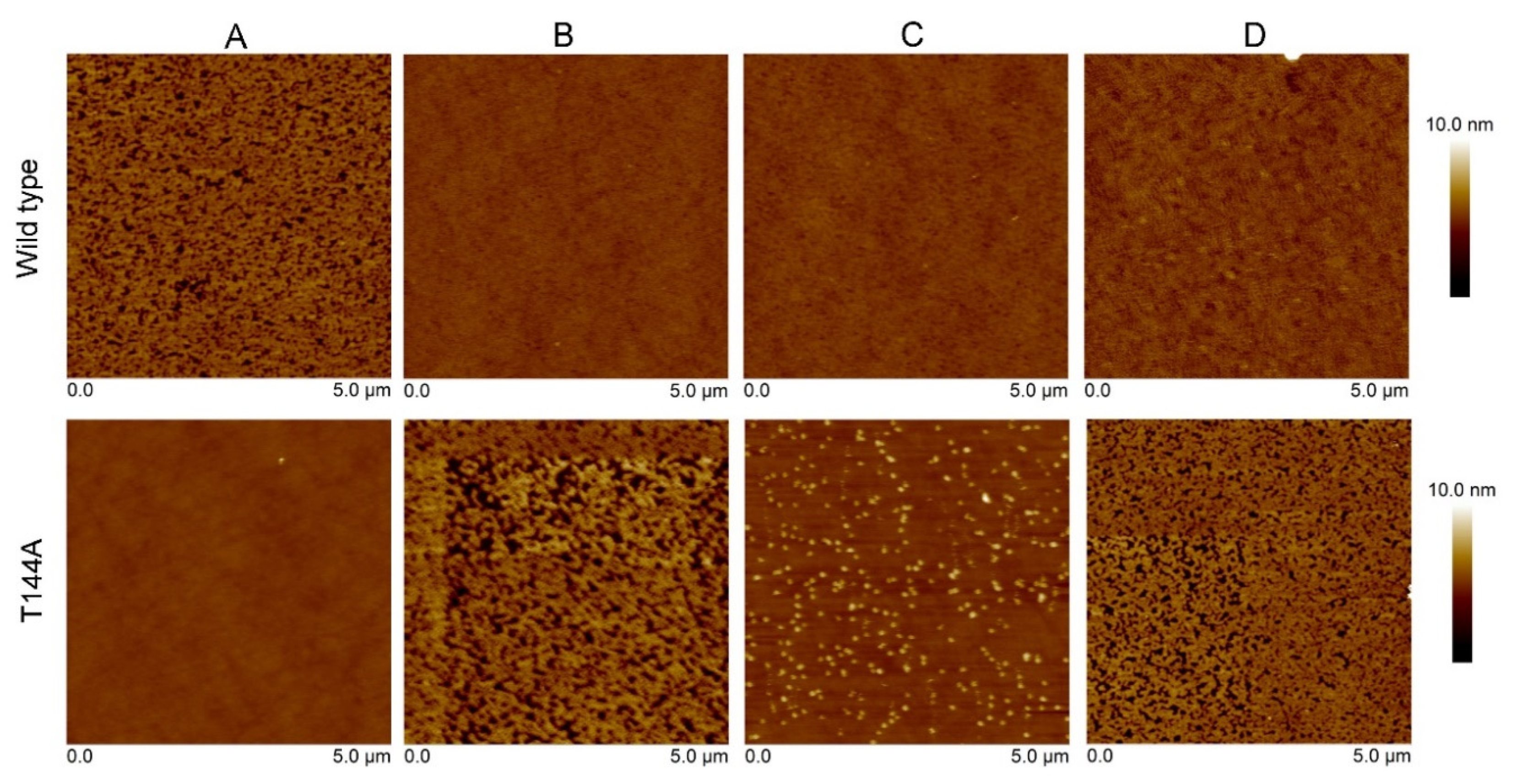 Toxins 12 00226 g003