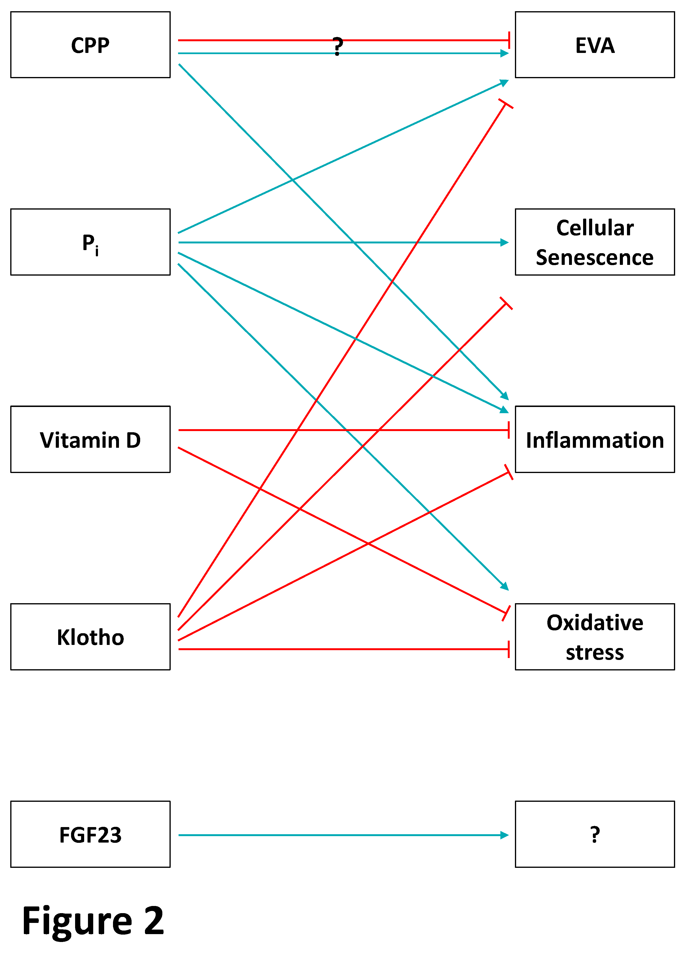 Toxins 12 00227 g002