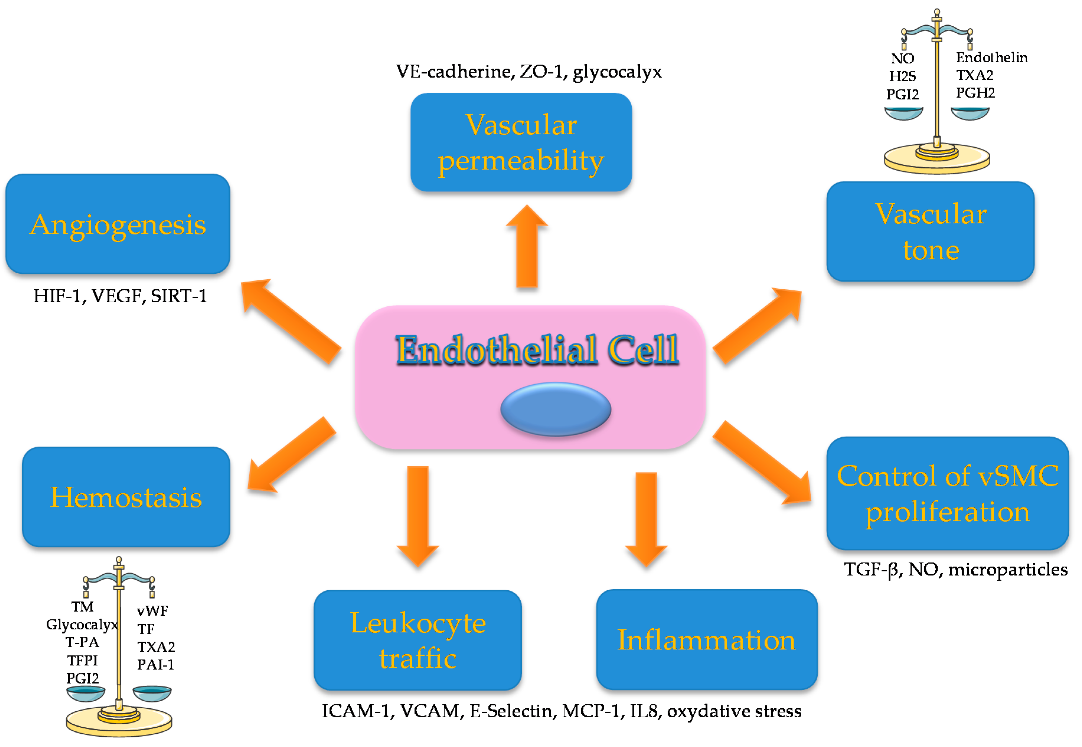 Toxins 12 00229 g001