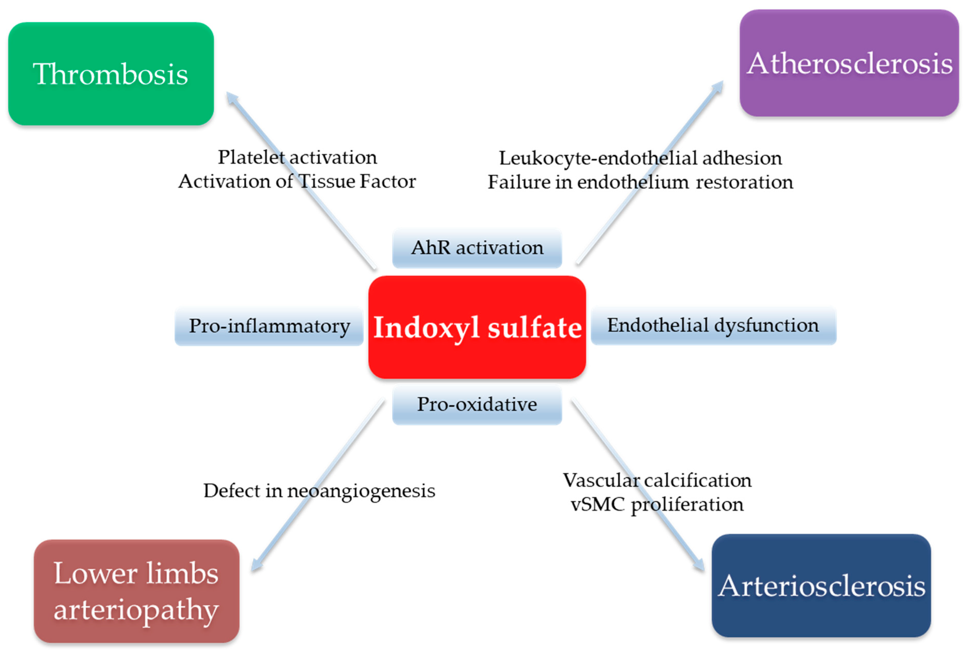 Toxins 12 00229 g002